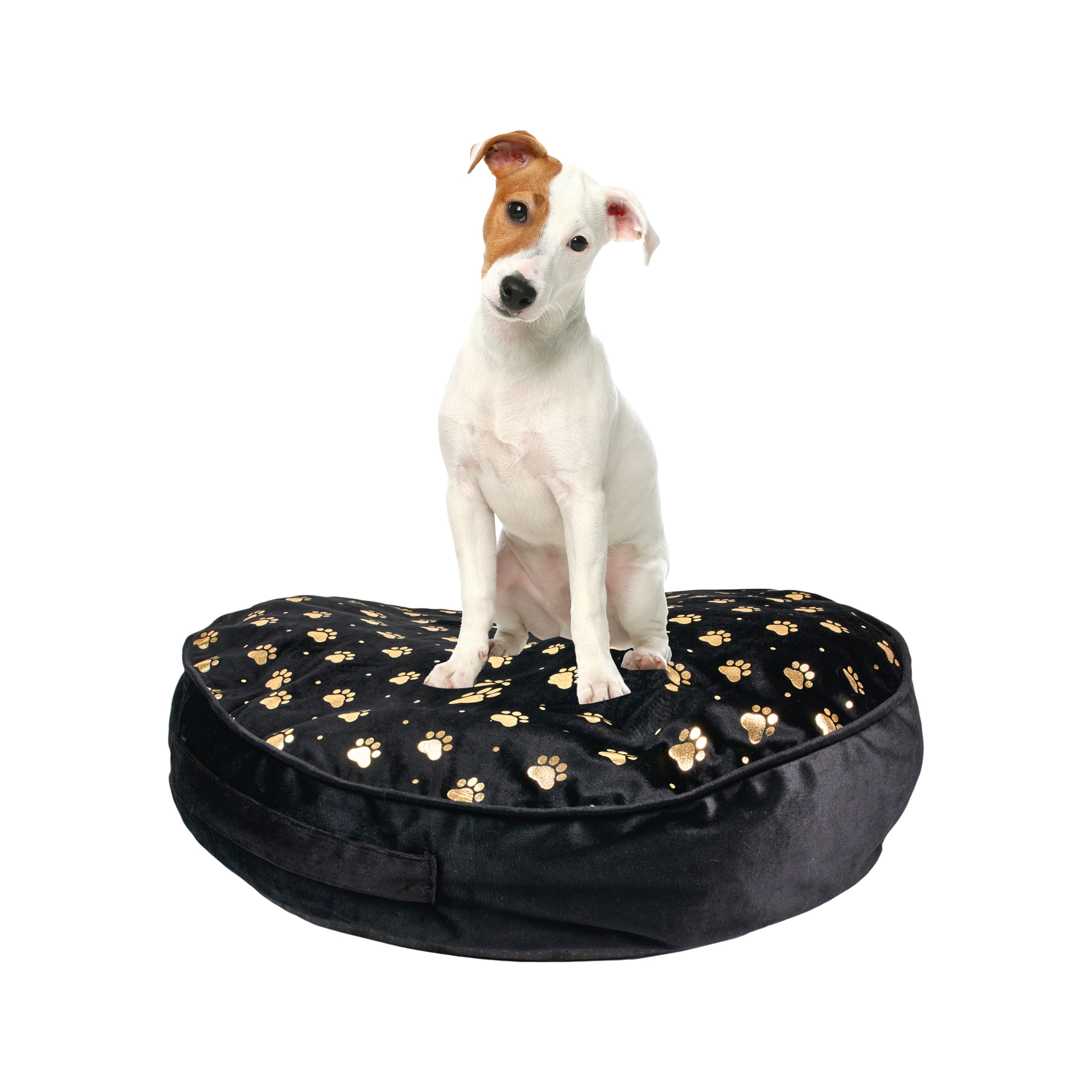 COUSSIN POUR ANIMAUX 60X60X10CM