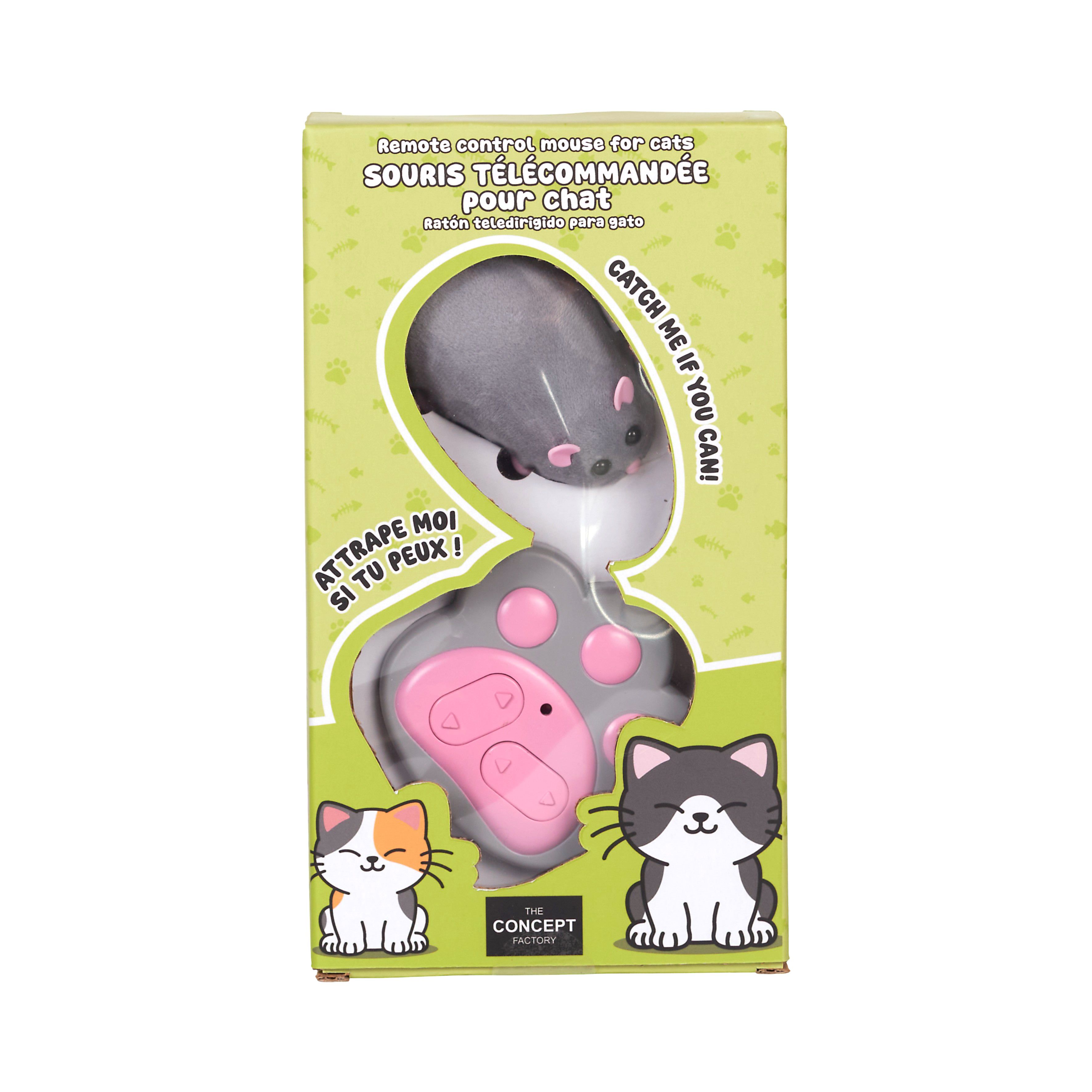 JEU SOURIS TELECOMMANDE POUR CHAT