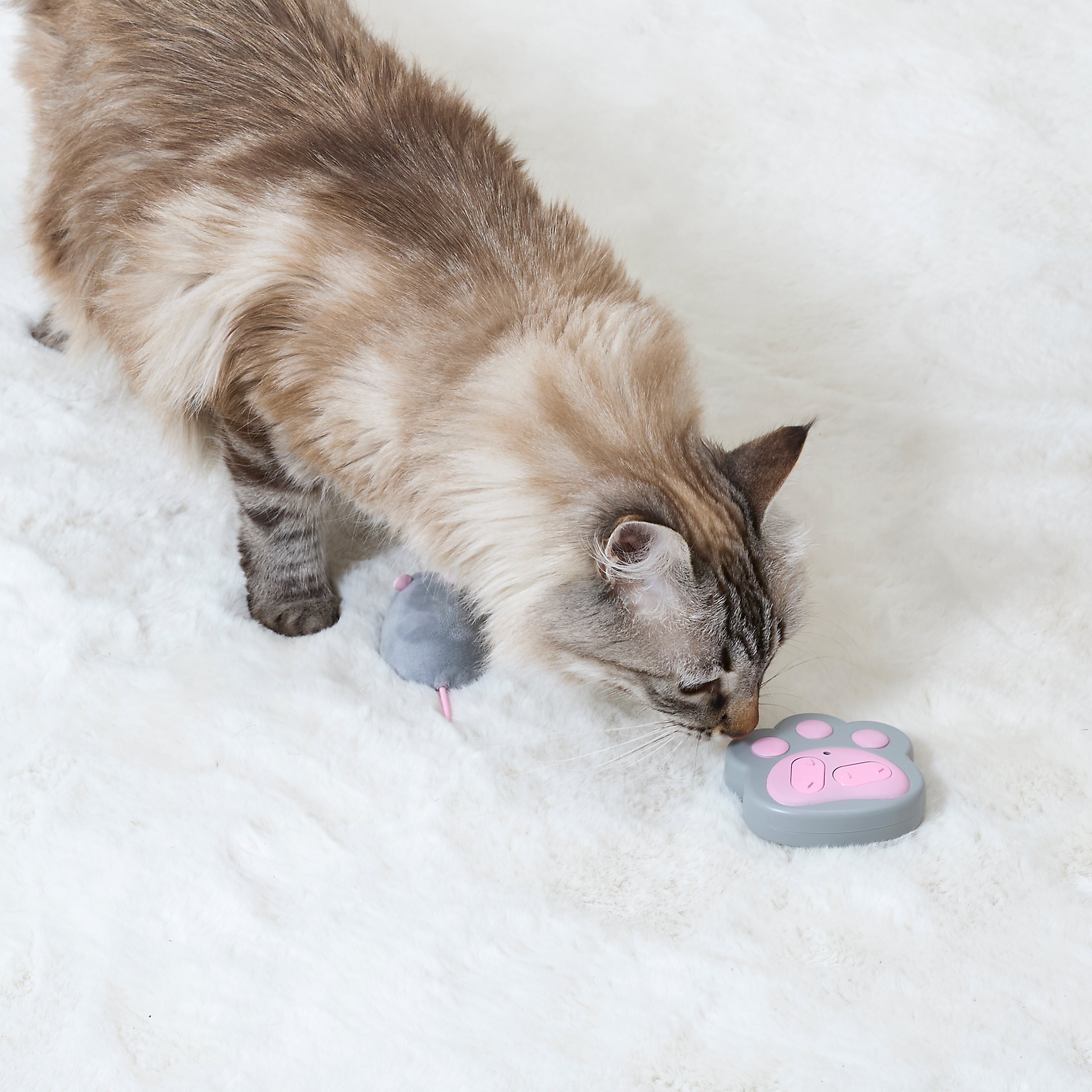 JEU SOURIS TELECOMMANDE POUR CHAT