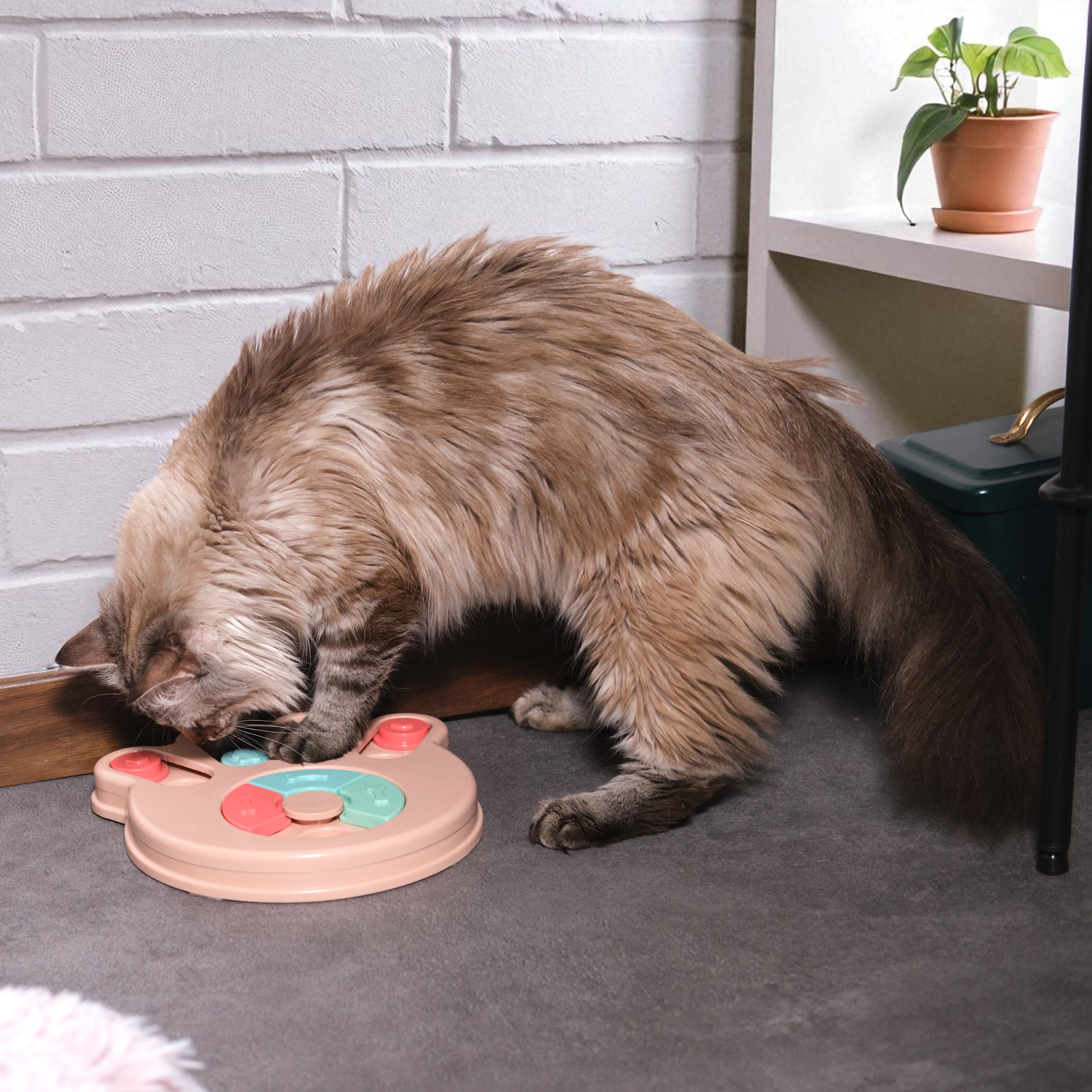 JEU DE FOUILLE POUR ANIMAUX