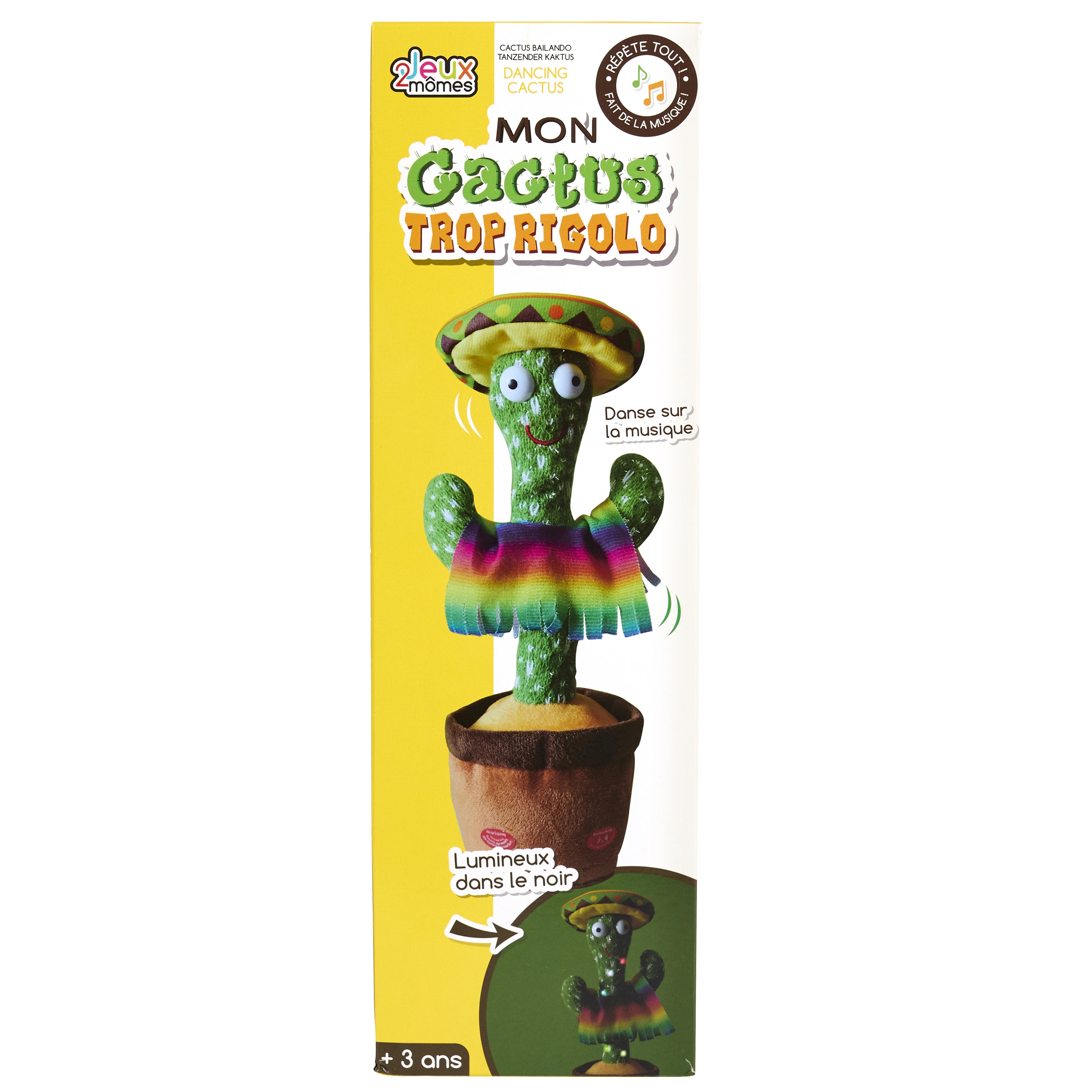 CACTUS DANSANT