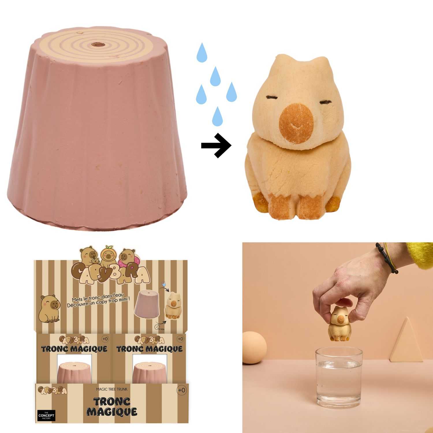 TRONC MAGIQUE CAPYBARA