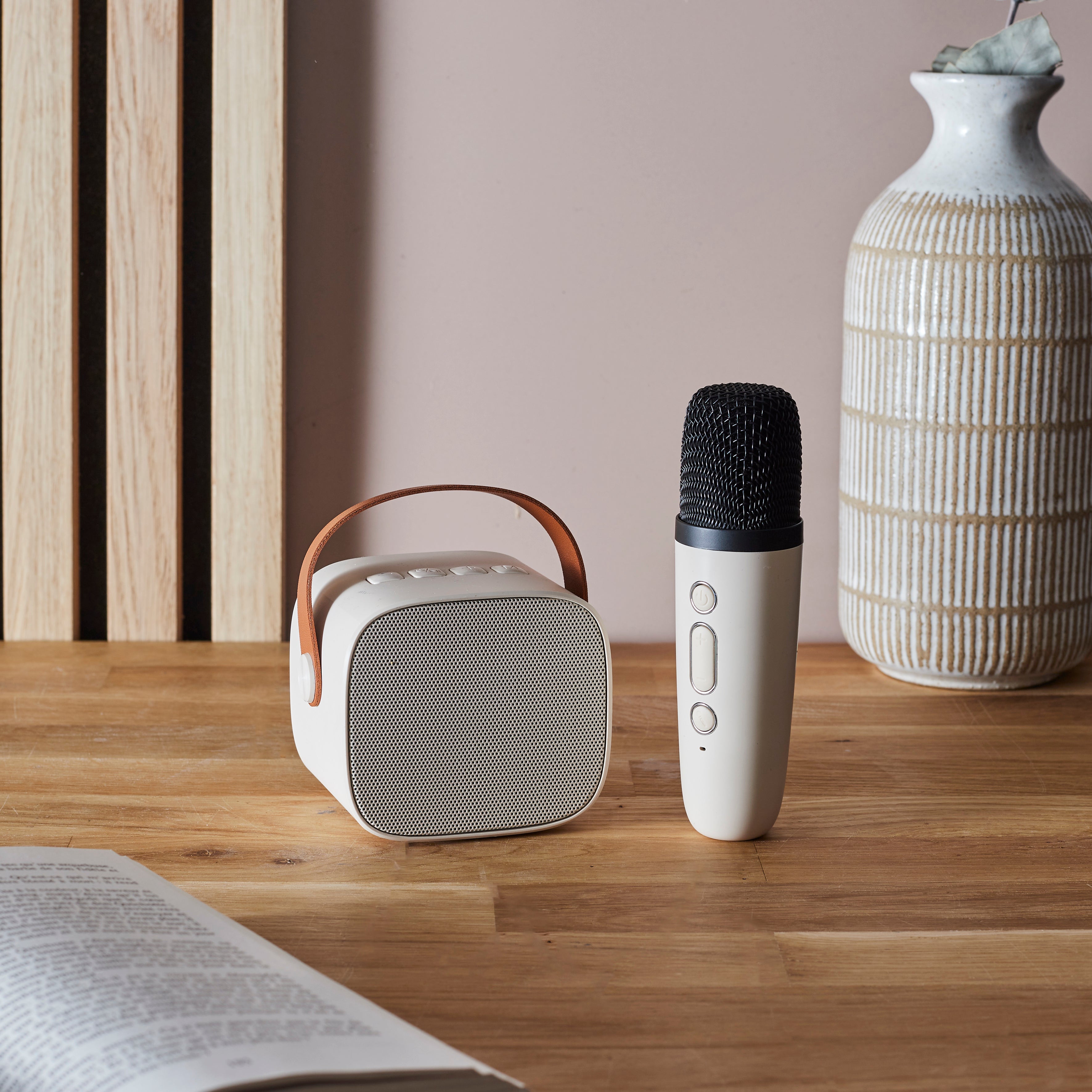 ENCEINTE ET MICRO KARAOKE DESIGN 5W