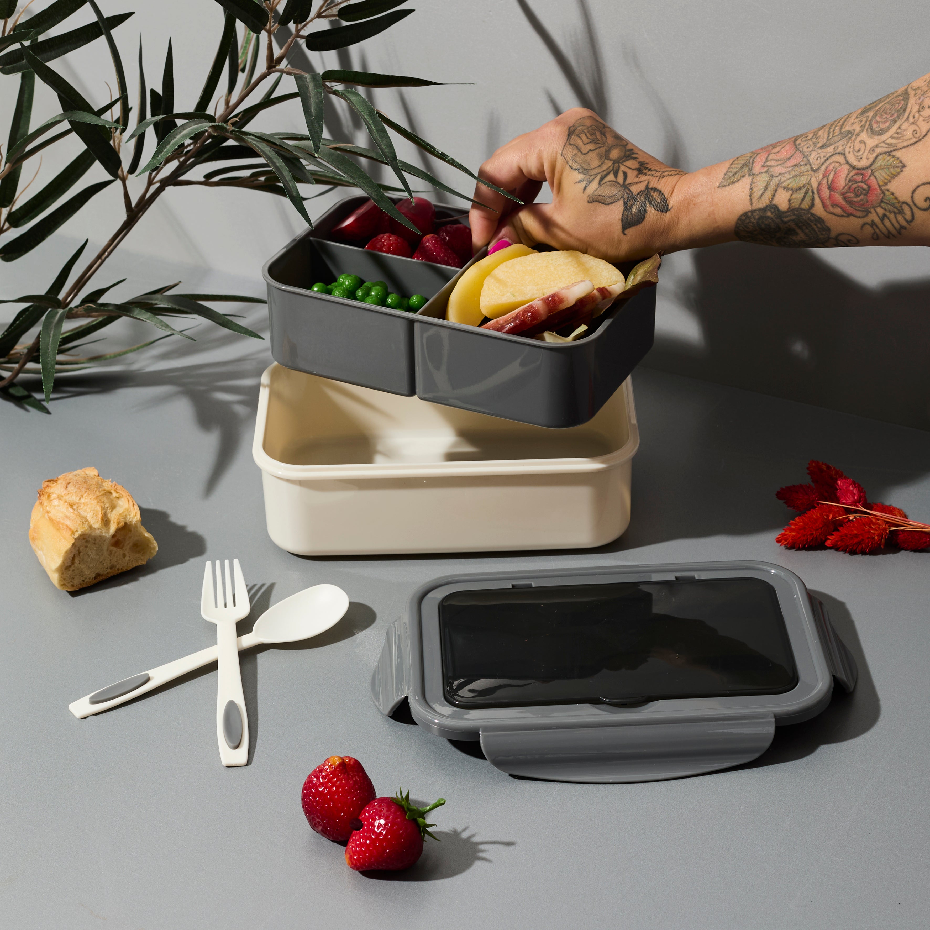 LUNCH BOX COMPARTIMENTEE