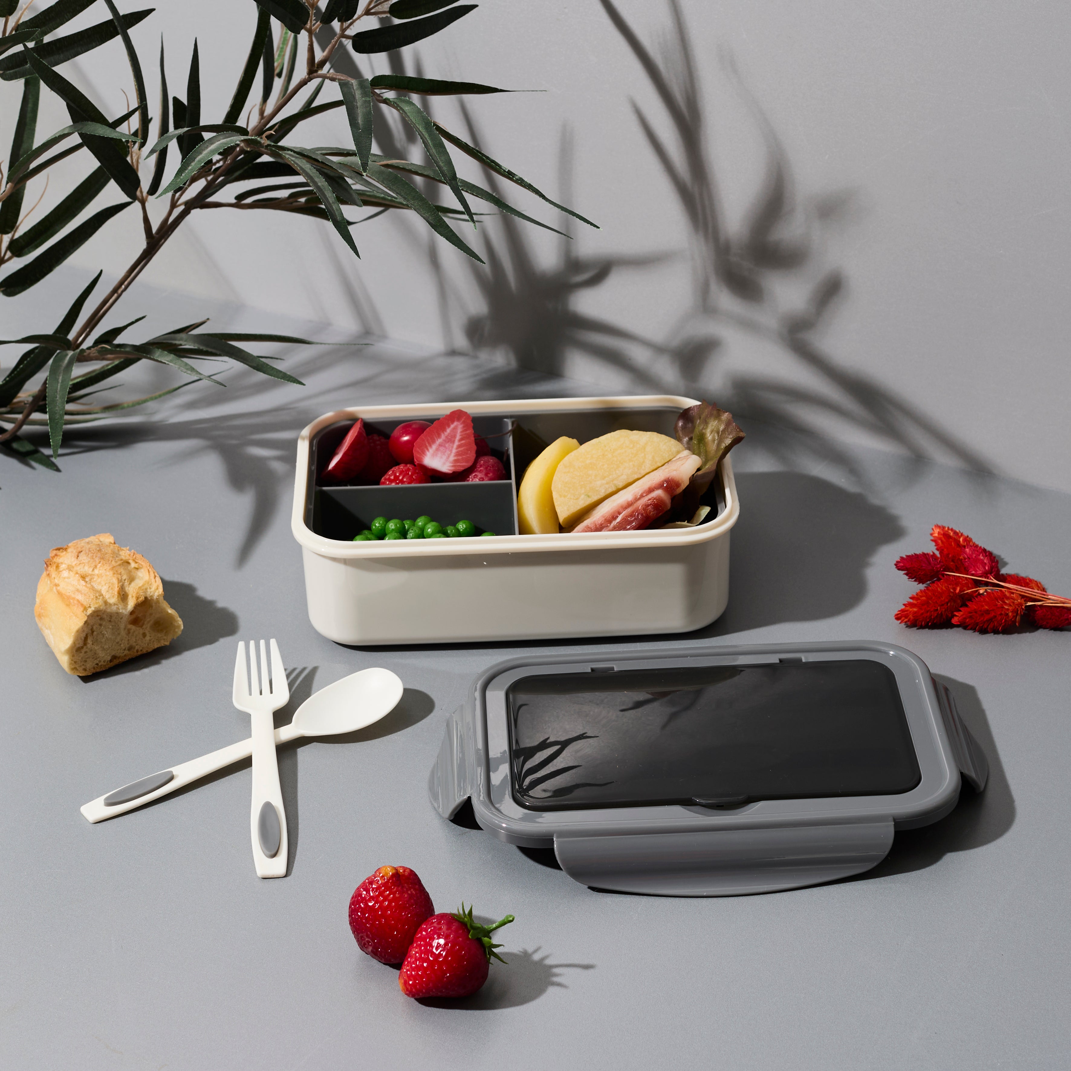 LUNCH BOX COMPARTIMENTEE