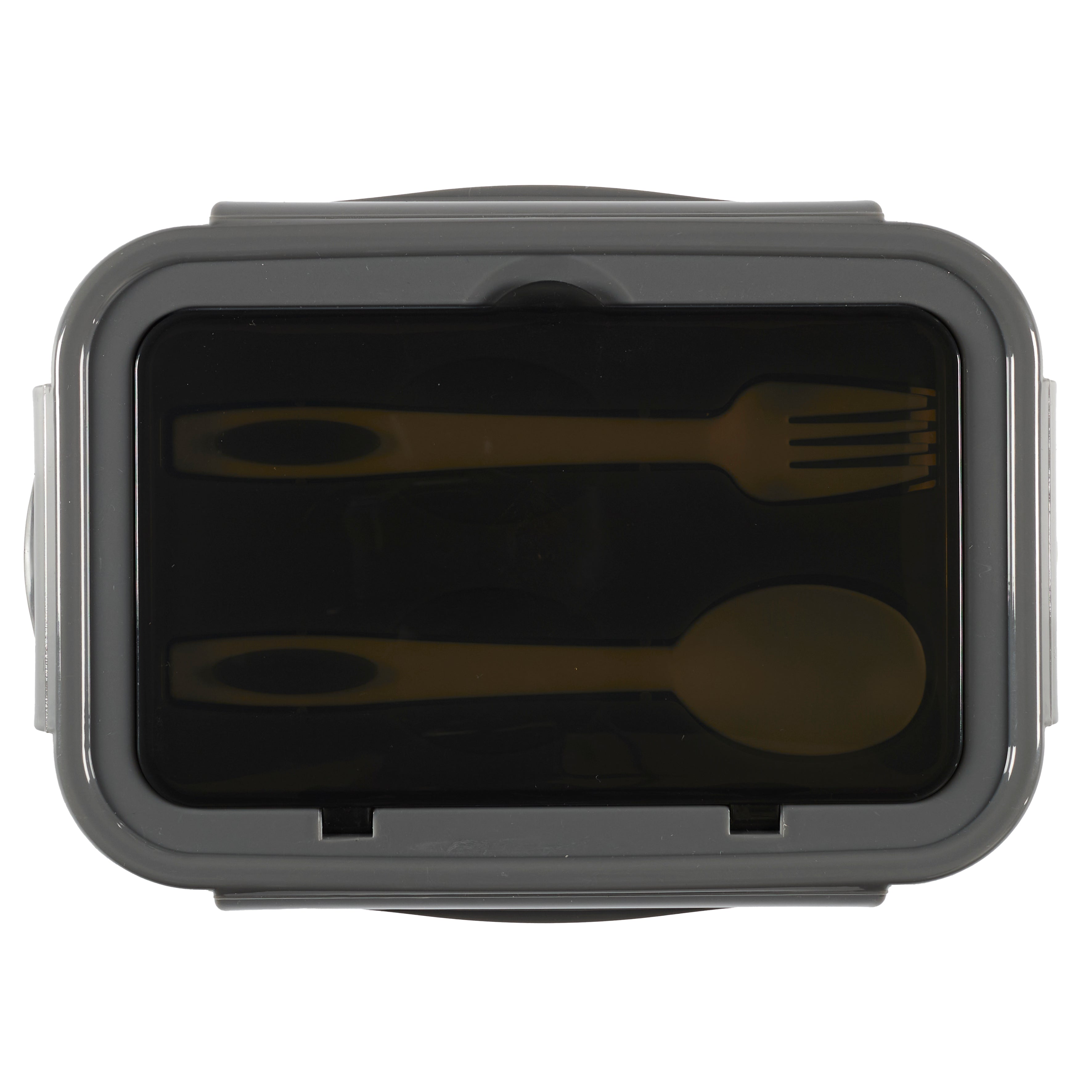 LUNCH BOX COMPARTIMENTEE