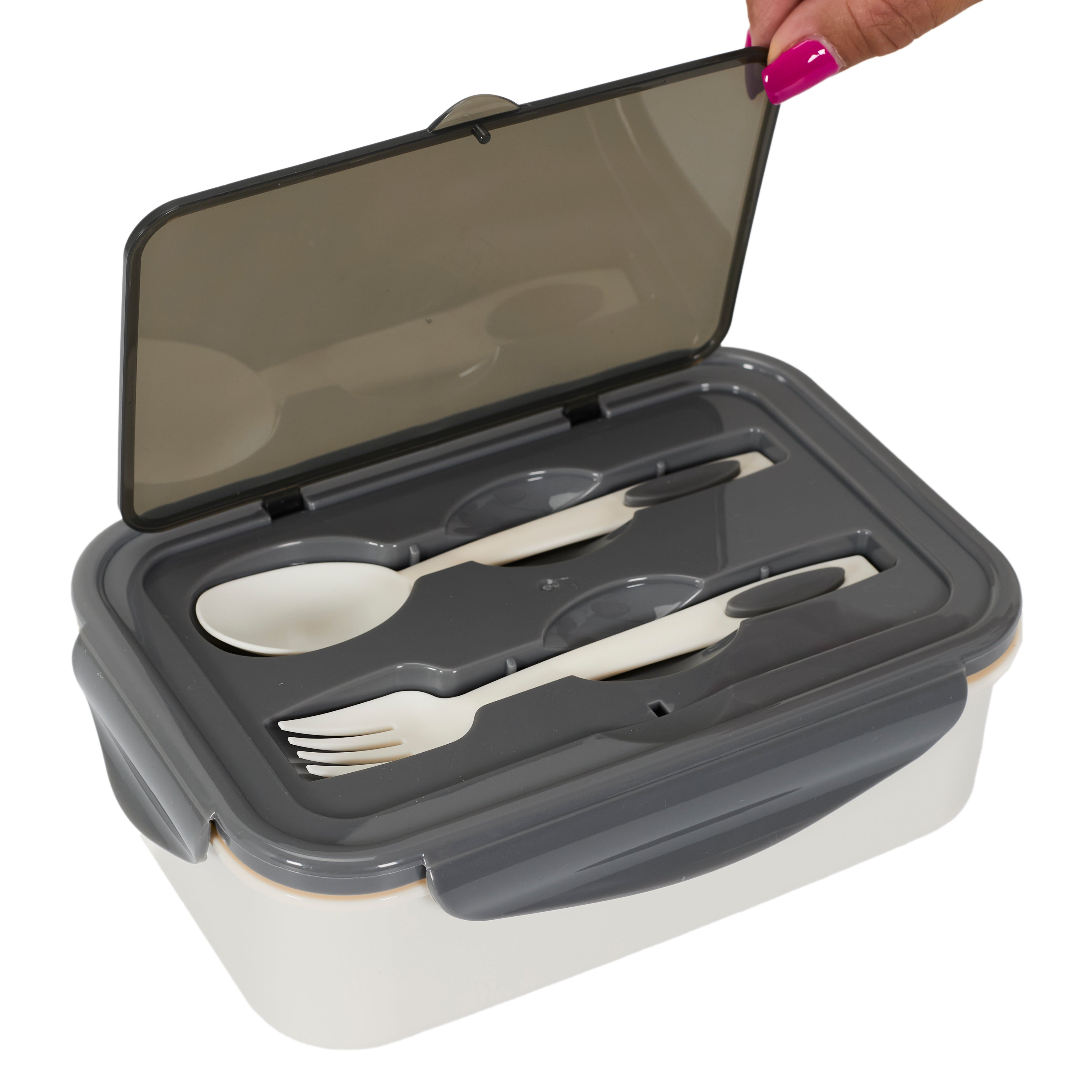 LUNCH BOX COMPARTIMENTEE