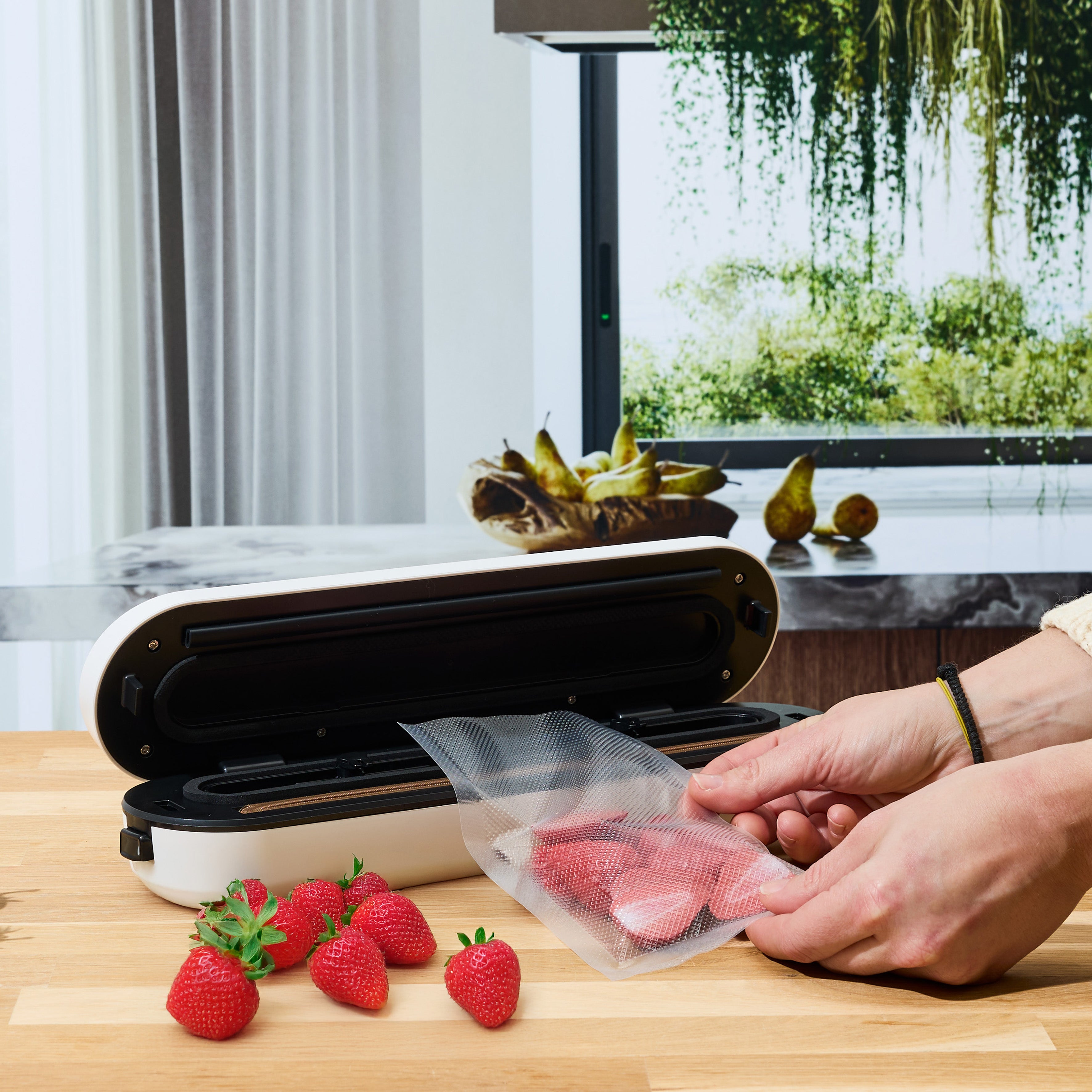 MACHINE MISE SOUS VIDE ALIMENTAIRE