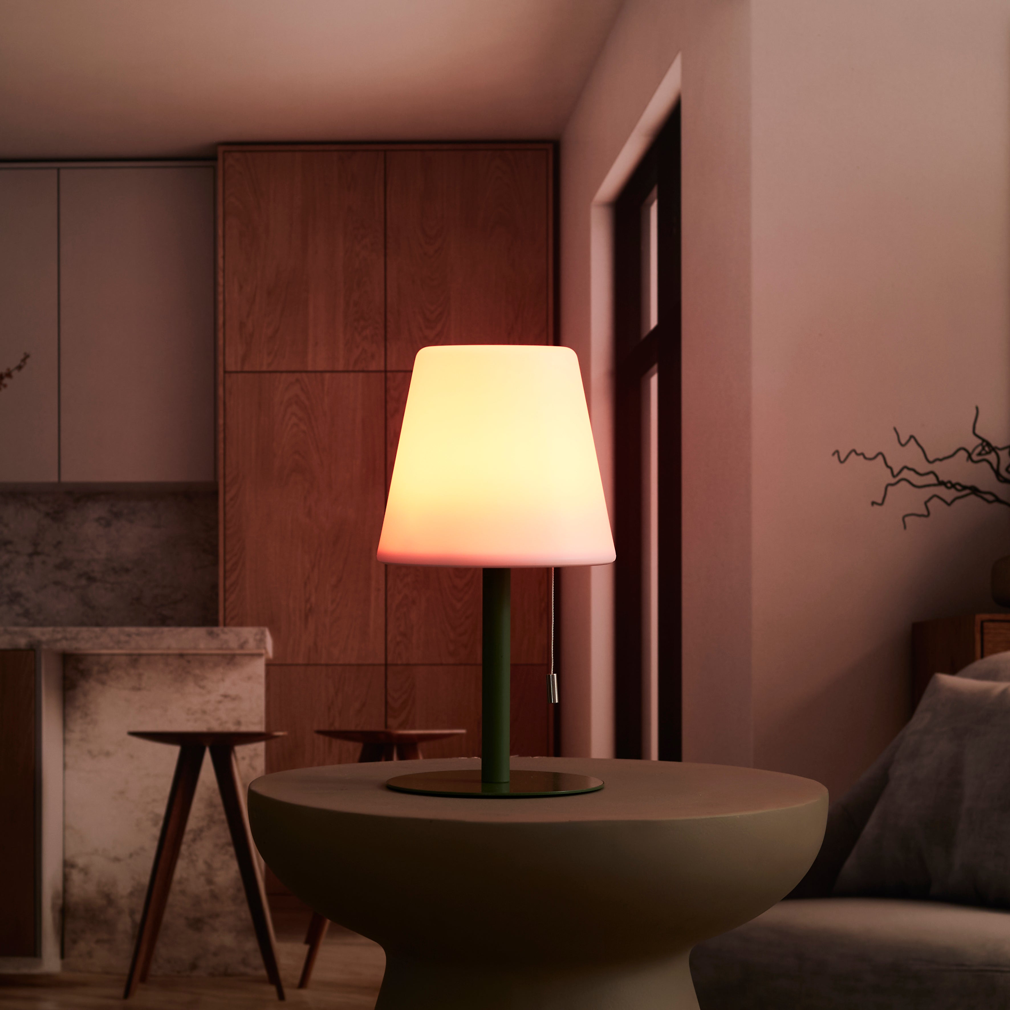 LAMPE DE TABLE RECHARGEABLE USB IP44 VERT H30CM