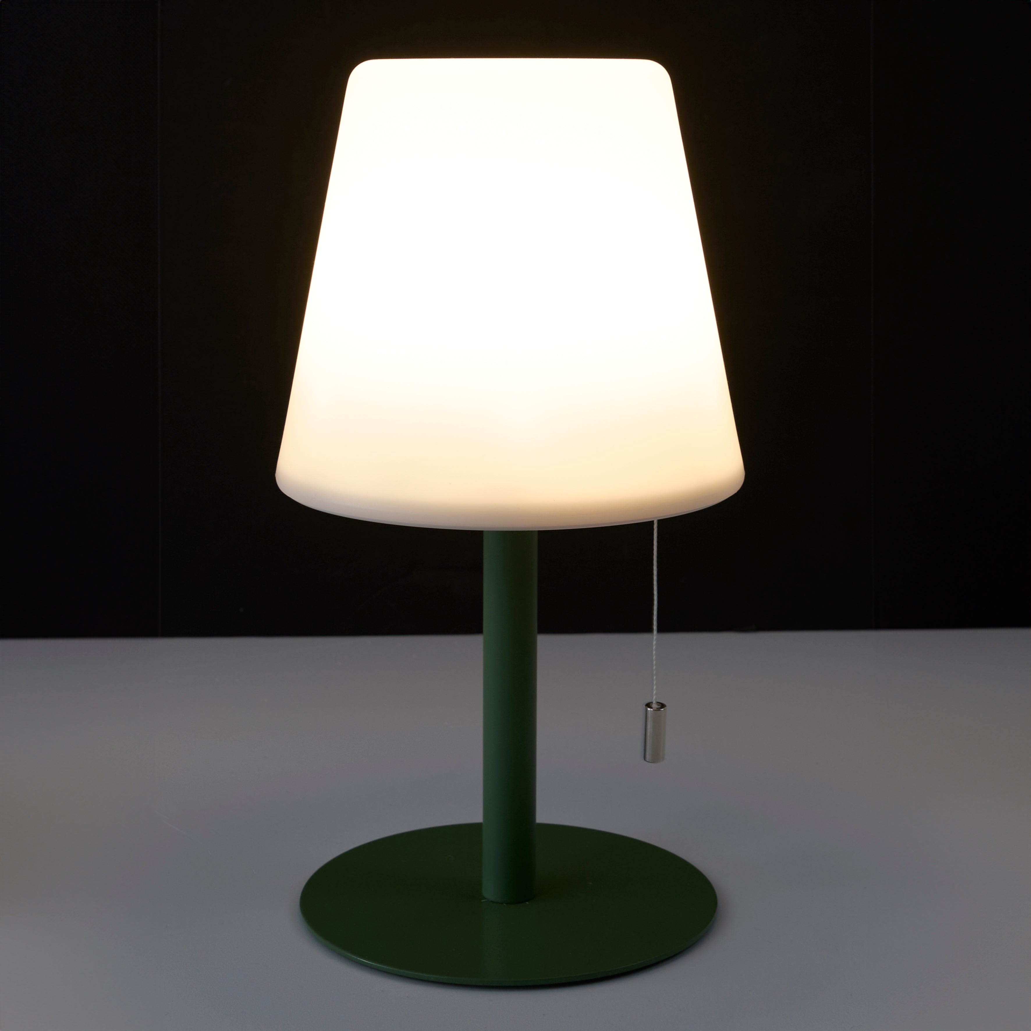 LAMPE DE TABLE RECHARGEABLE USB IP44 VERT H30CM