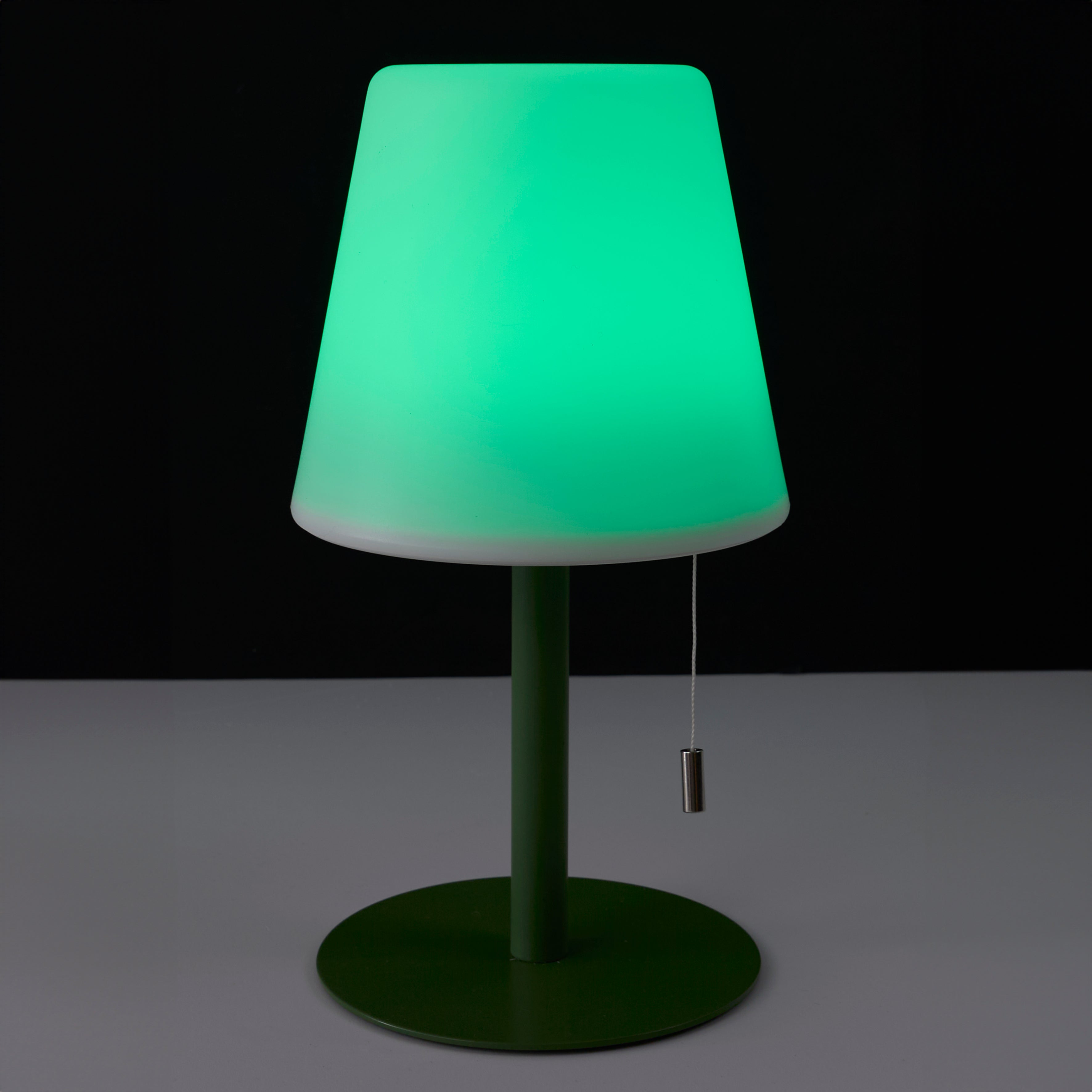 LAMPE DE TABLE RECHARGEABLE USB IP44 VERT H30CM
