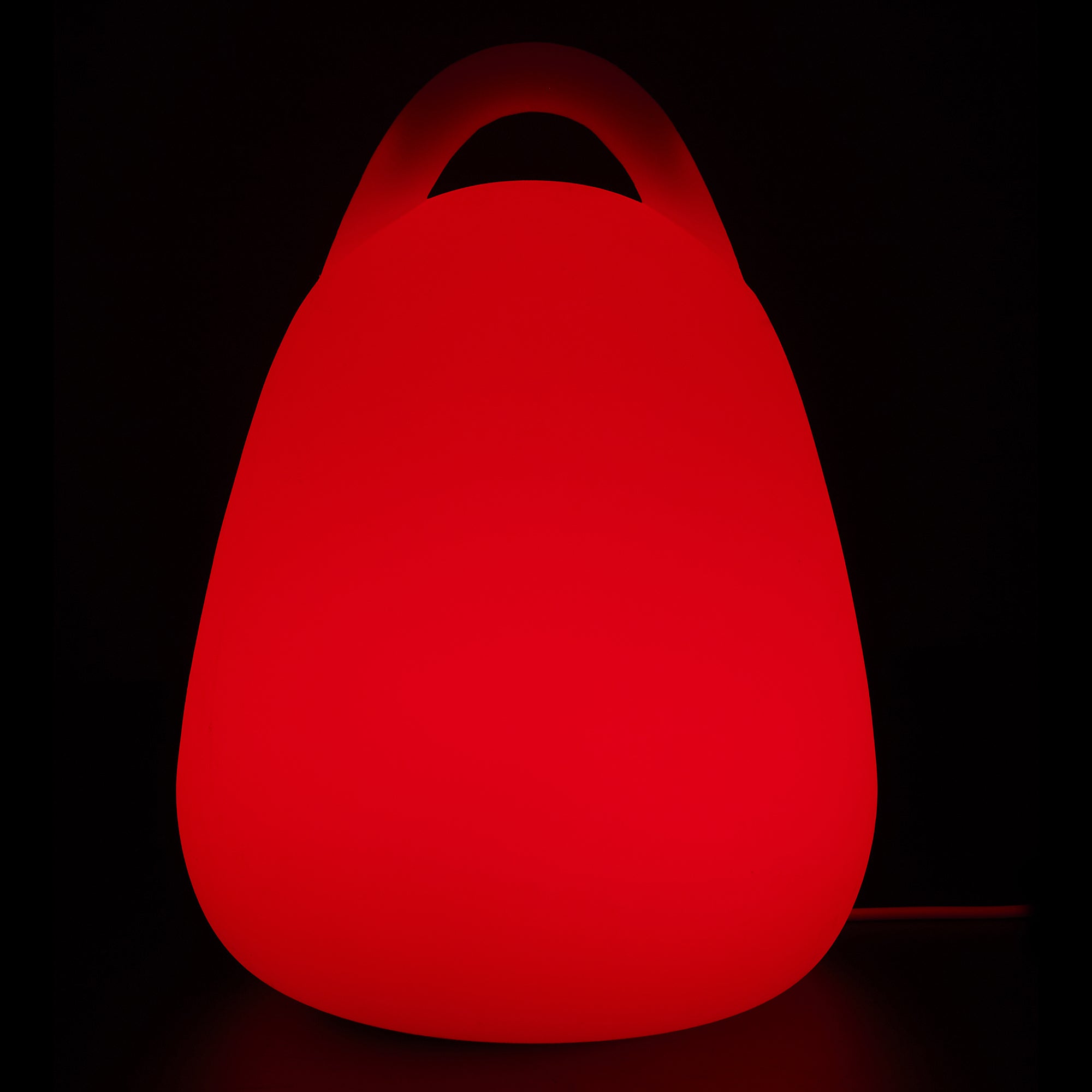 LAMPE EXTERIEUR AVEC POIGNEE AVEC TELECOMMANDE