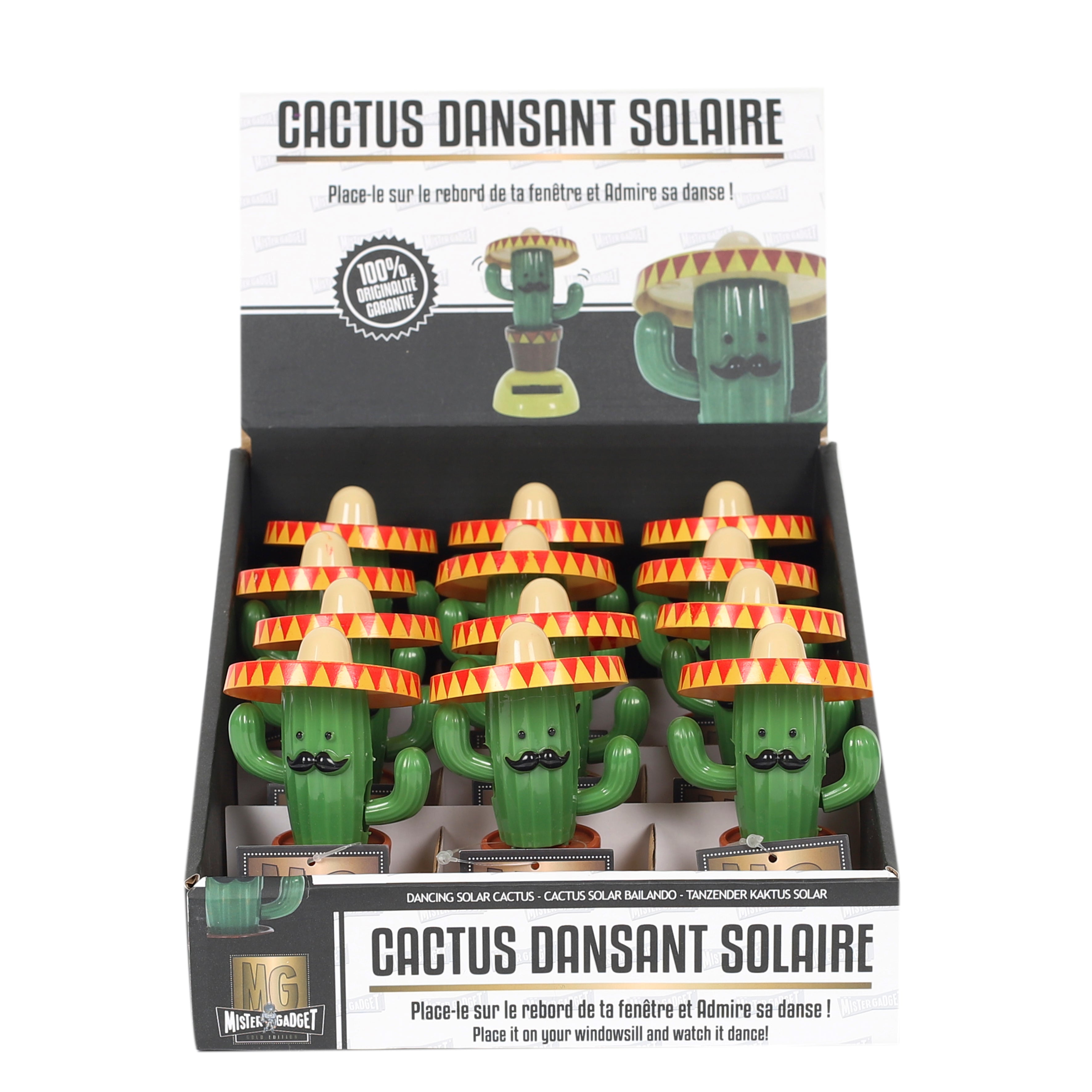 CACTUS SOLAIRE DANSANT