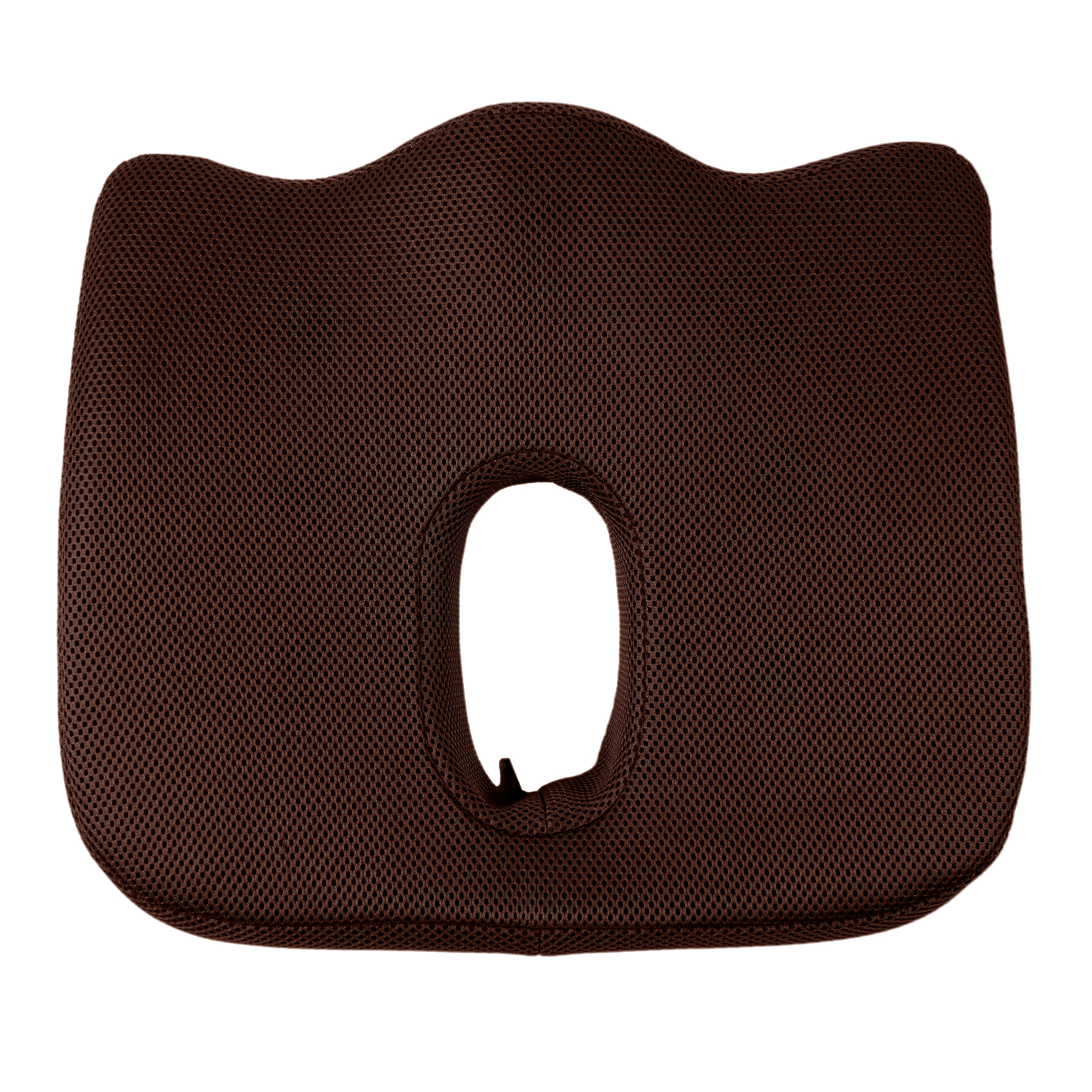 COUSSIN DE POSTURE