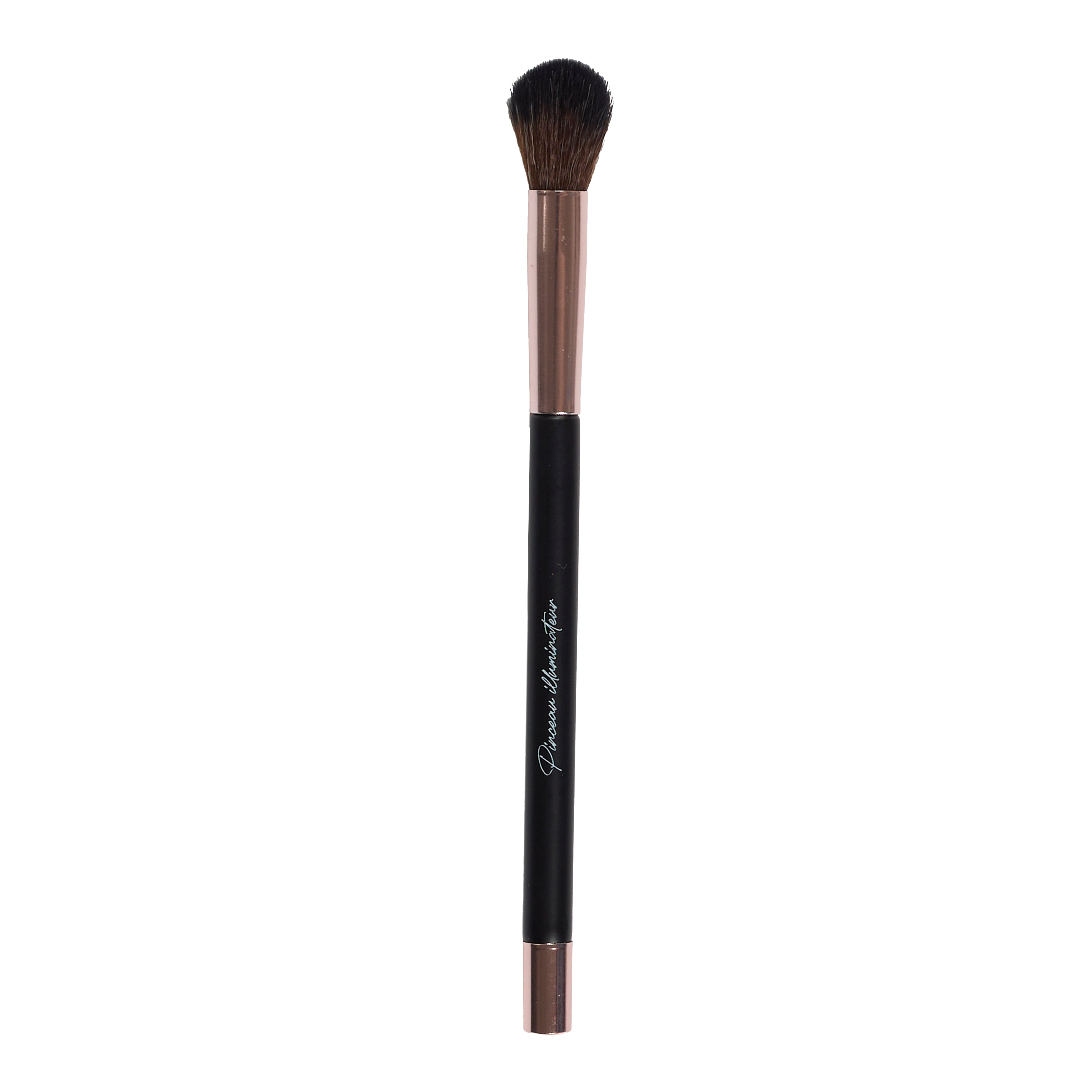PINCEAU MAGNETIQUE X11 ET SUPPORT