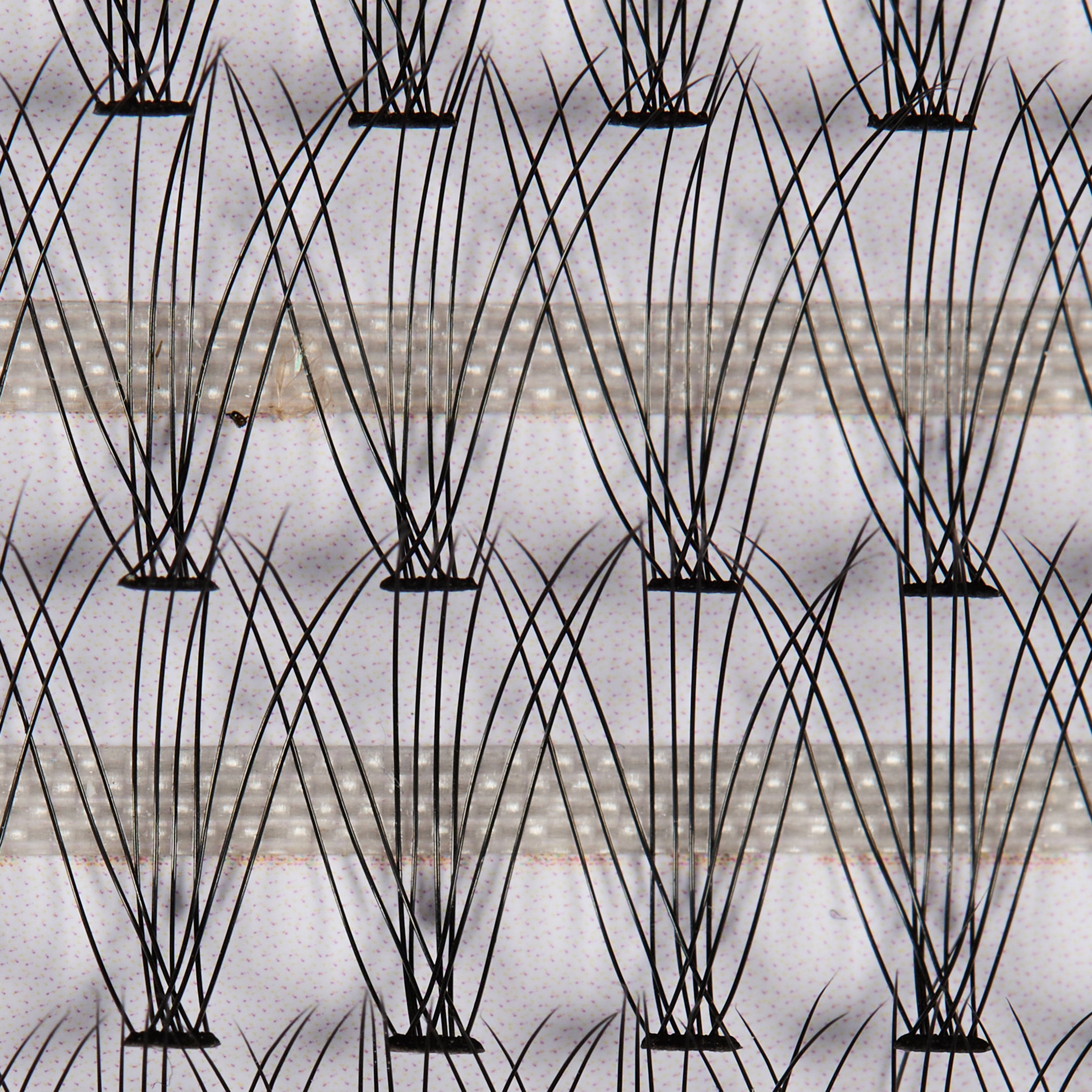 EXTENSION CILS 3 TAILLES