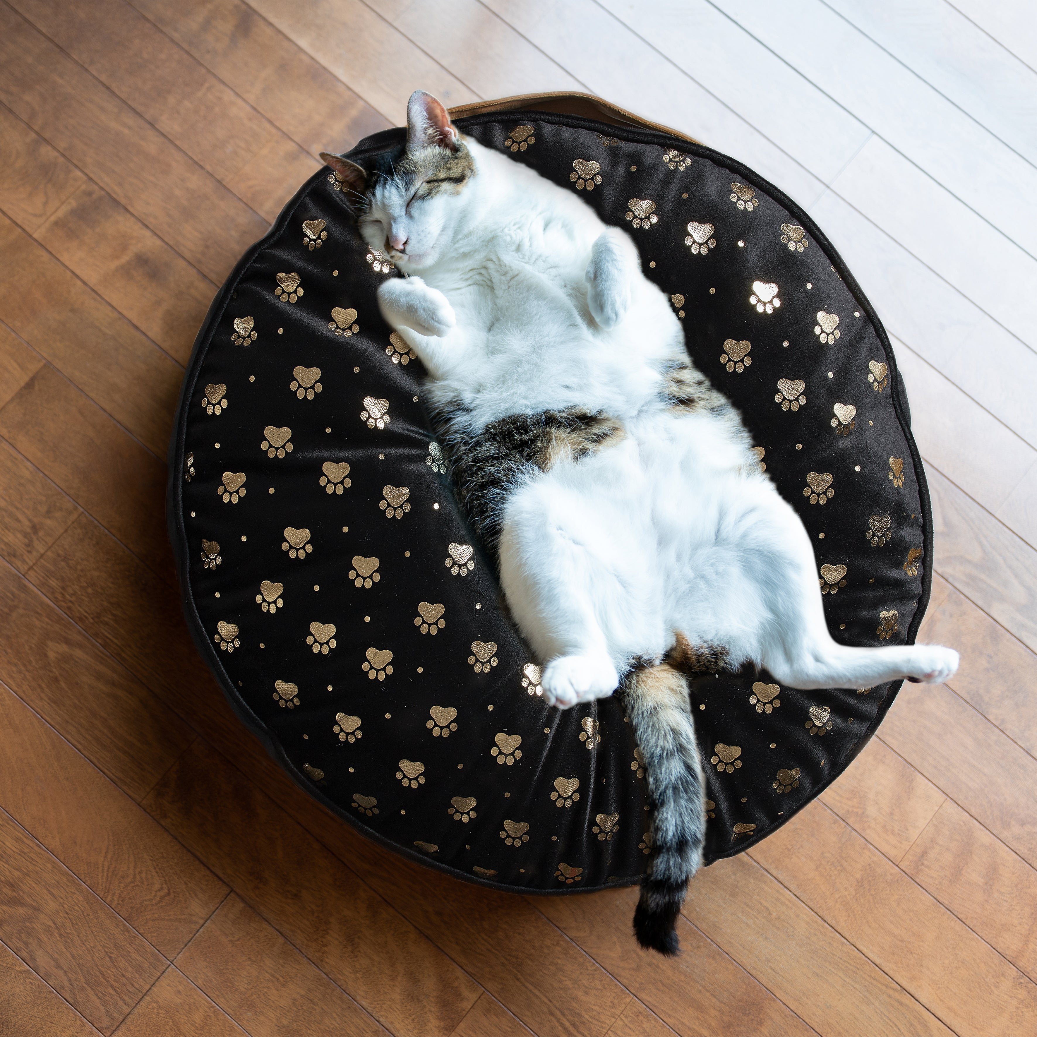 COUSSIN POUR ANIMAUX 60X60X10CM