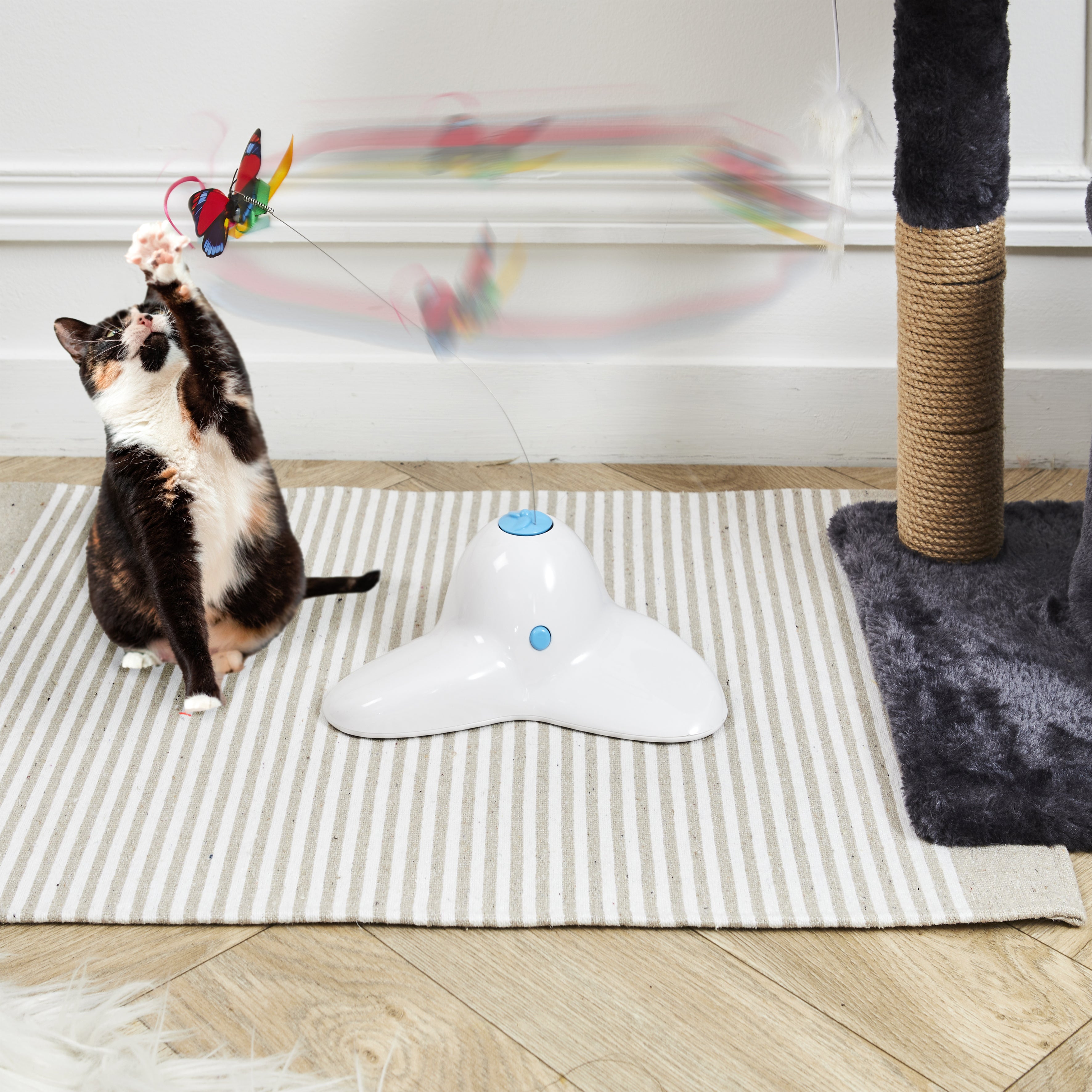 JEU PAPILLON INTERACTIF POUR CHAT