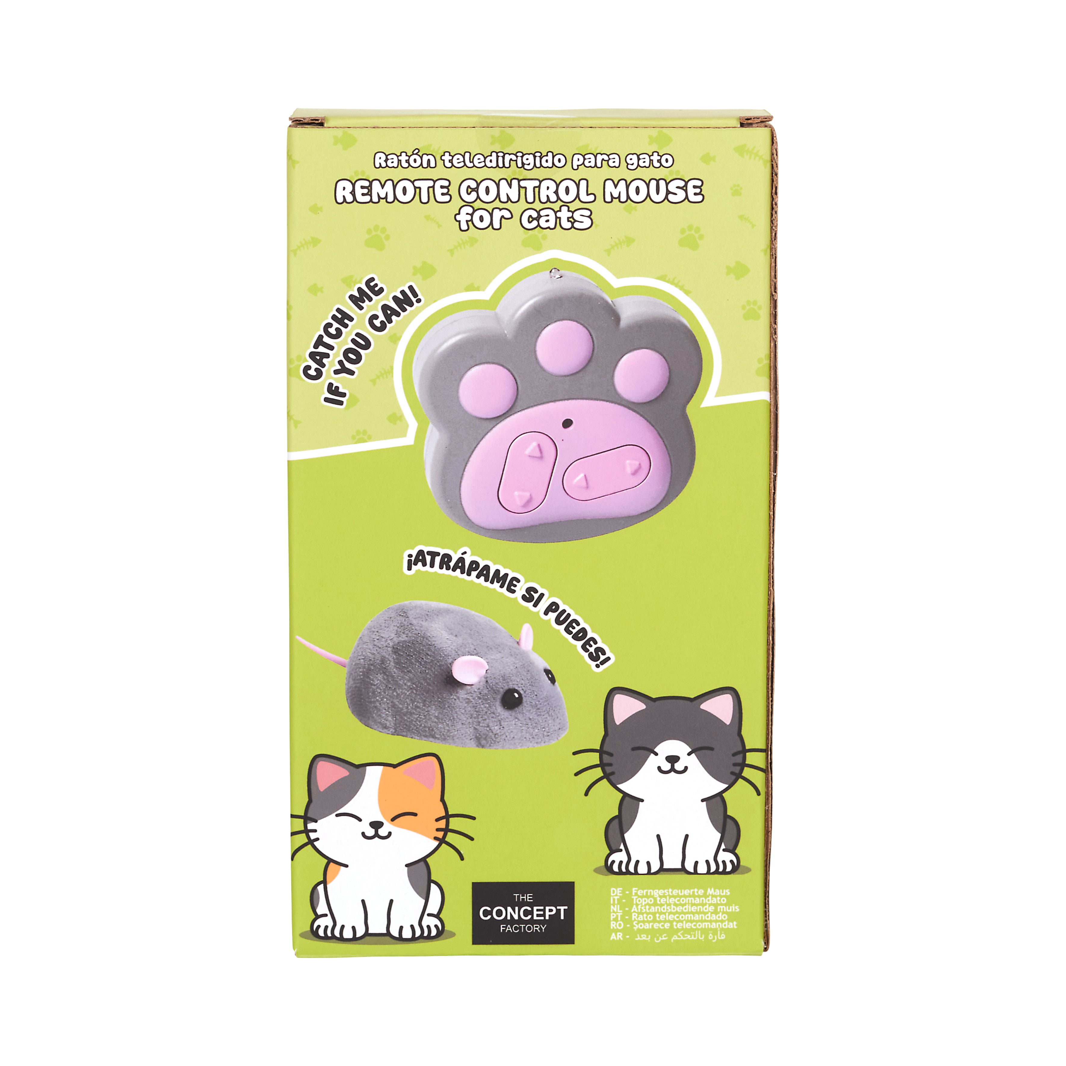 JEU SOURIS TELECOMMANDE POUR CHAT