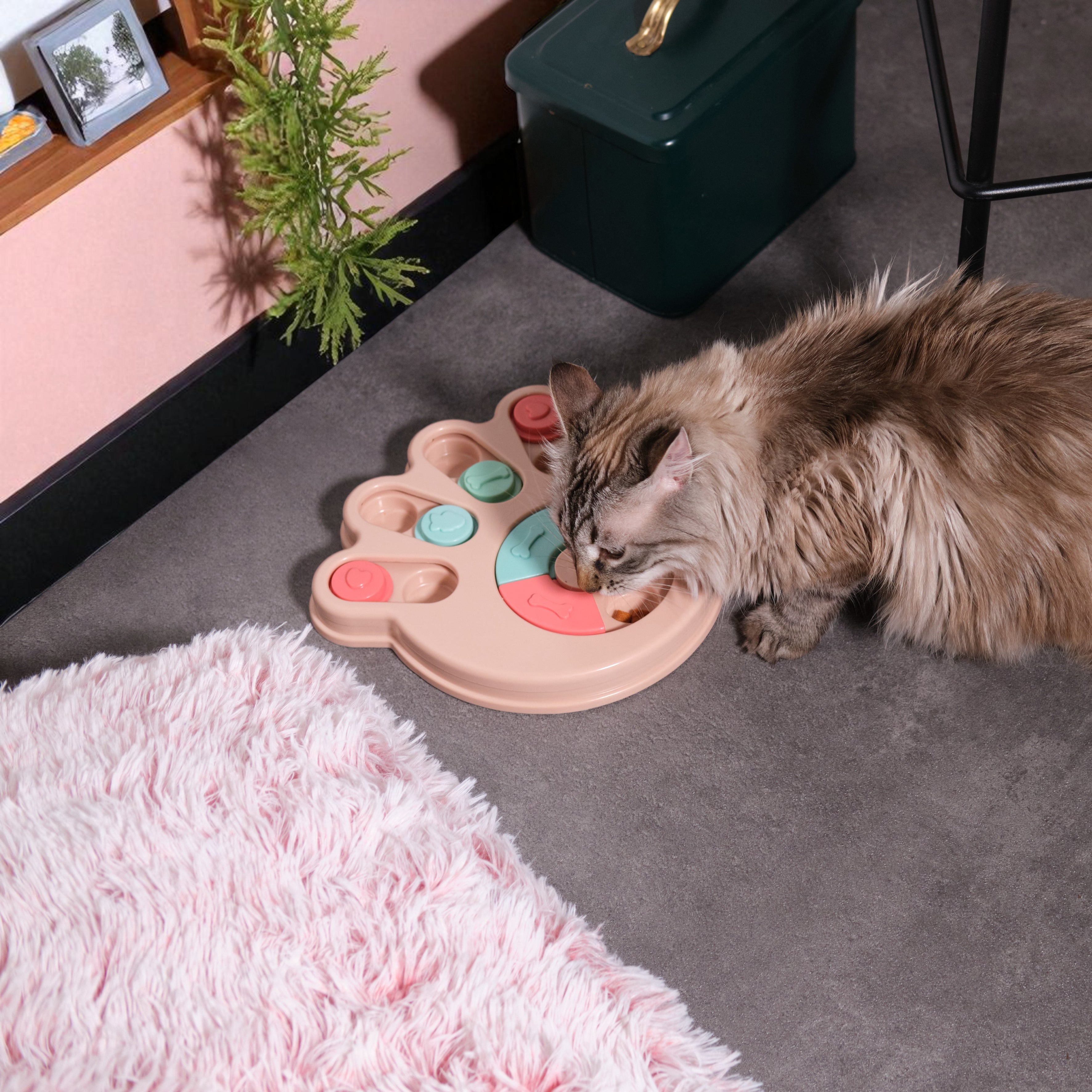 JEU DE FOUILLE POUR ANIMAUX