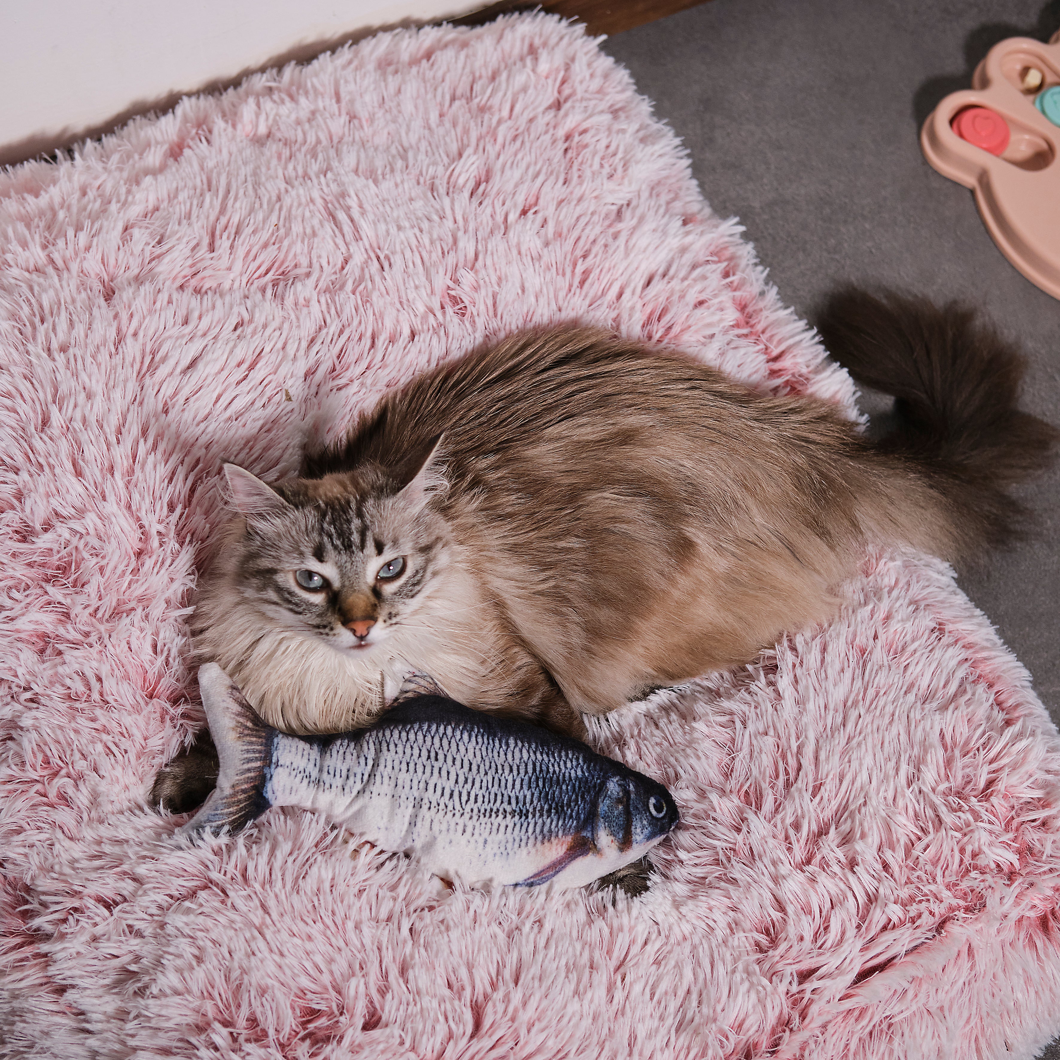 JEU INTERACTIF POISSON POUR ANIMAUX