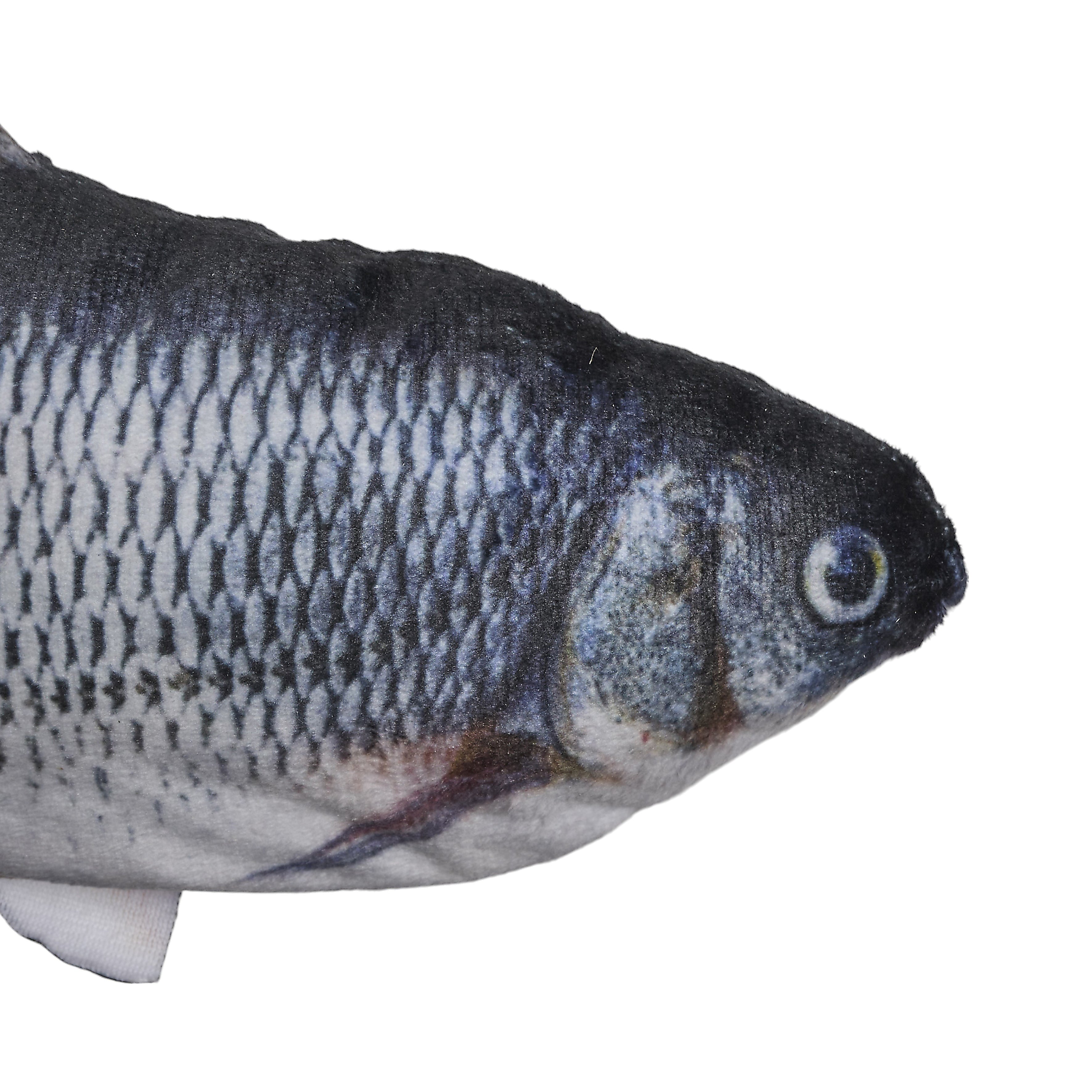 JEU INTERACTIF POISSON POUR ANIMAUX