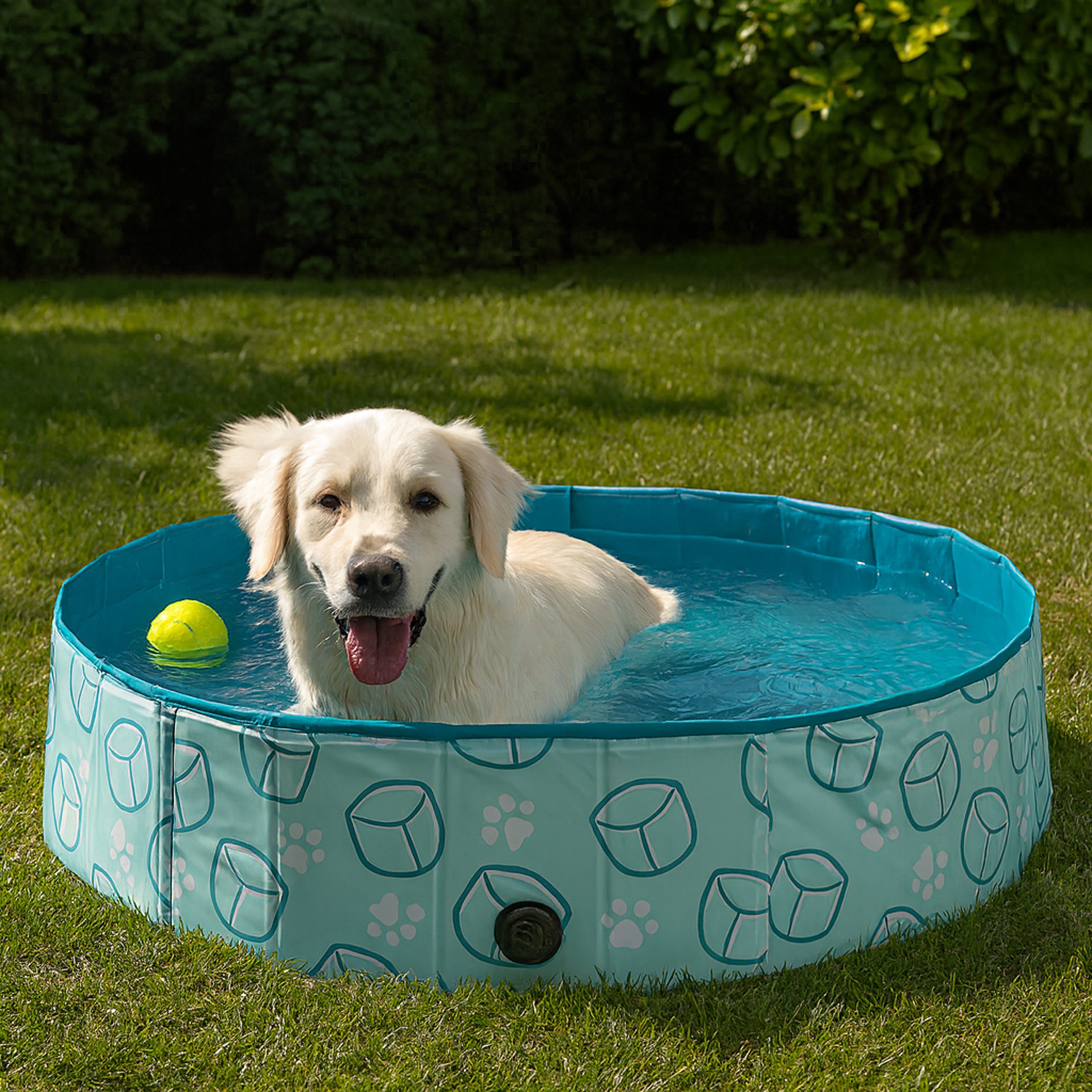 PISCINE POUR CHIEN 120CM