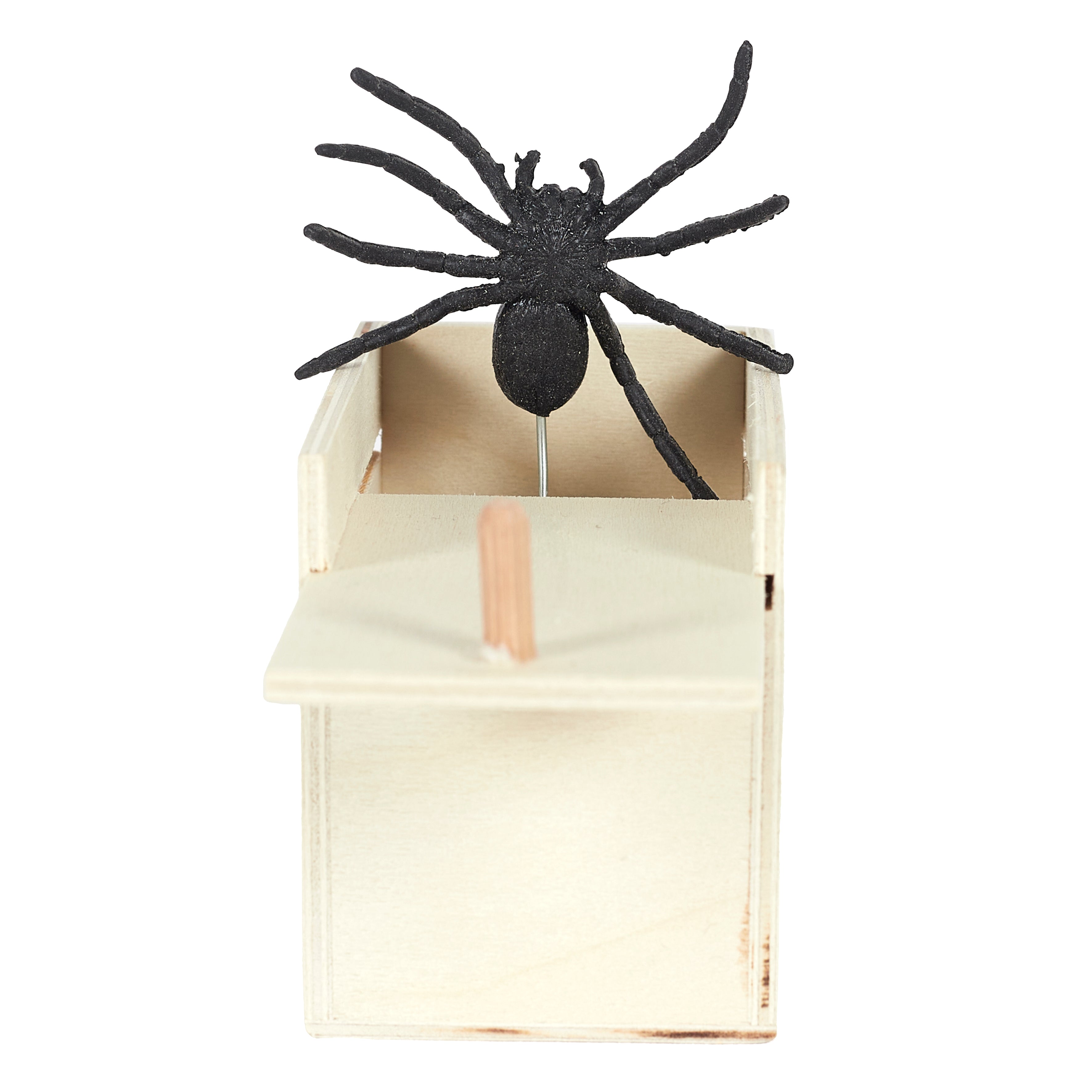 BOITE SURPRISE ARAIGNEE