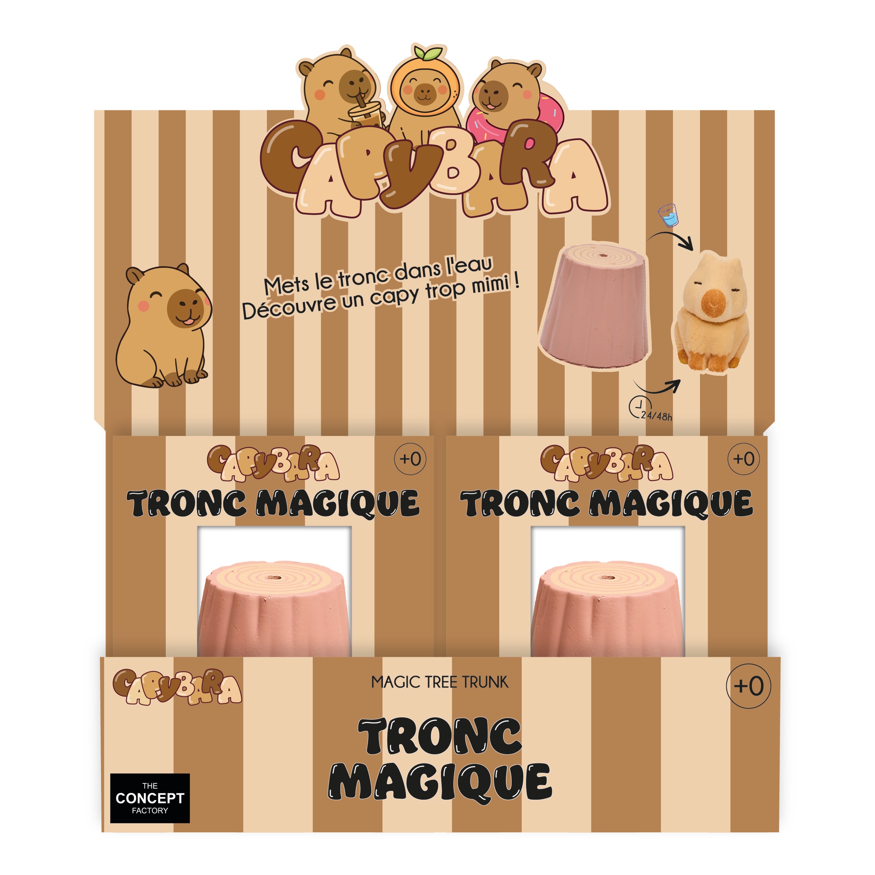TRONC MAGIQUE CAPYBARA