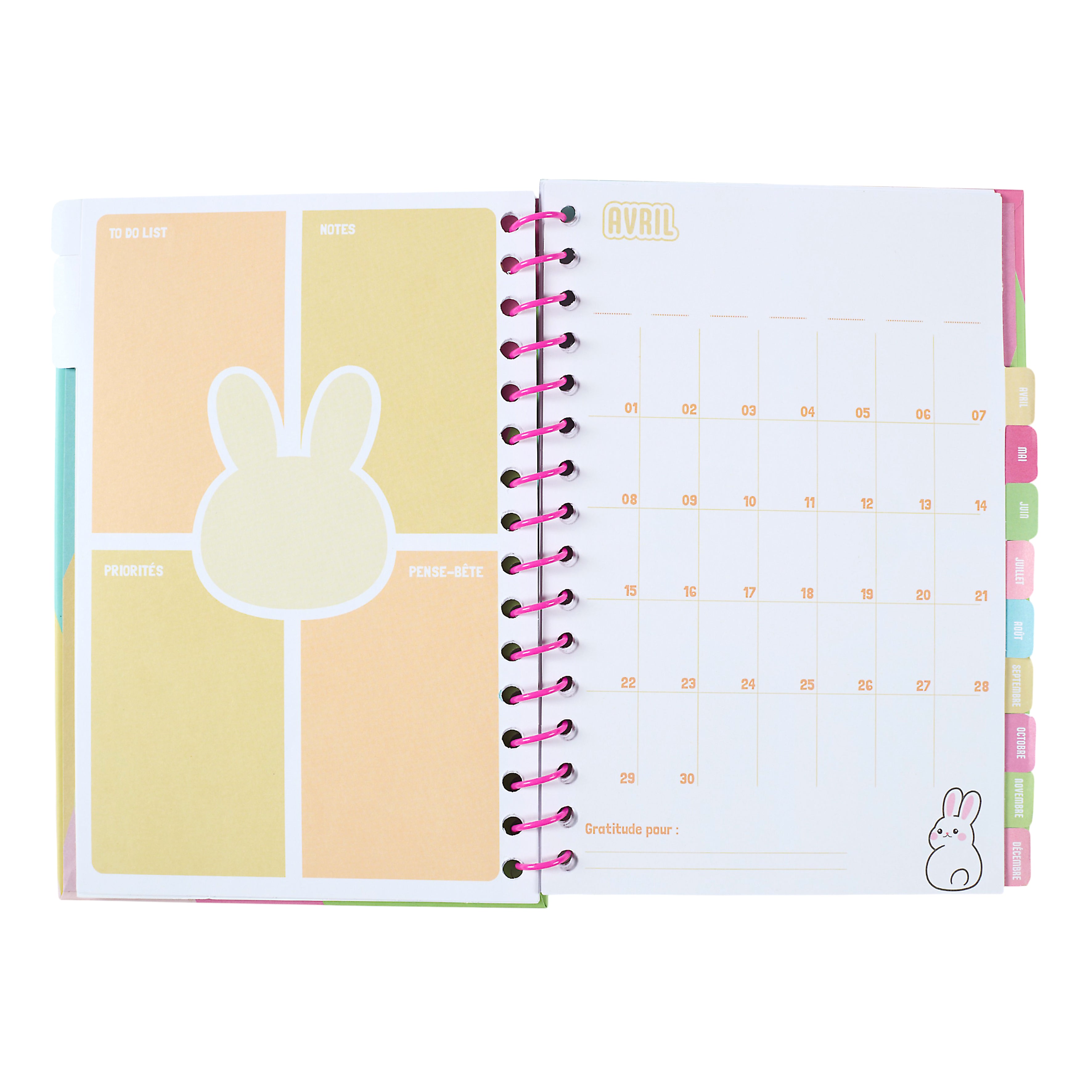 CARNET PLANNER AGENDA A5 KAWAII