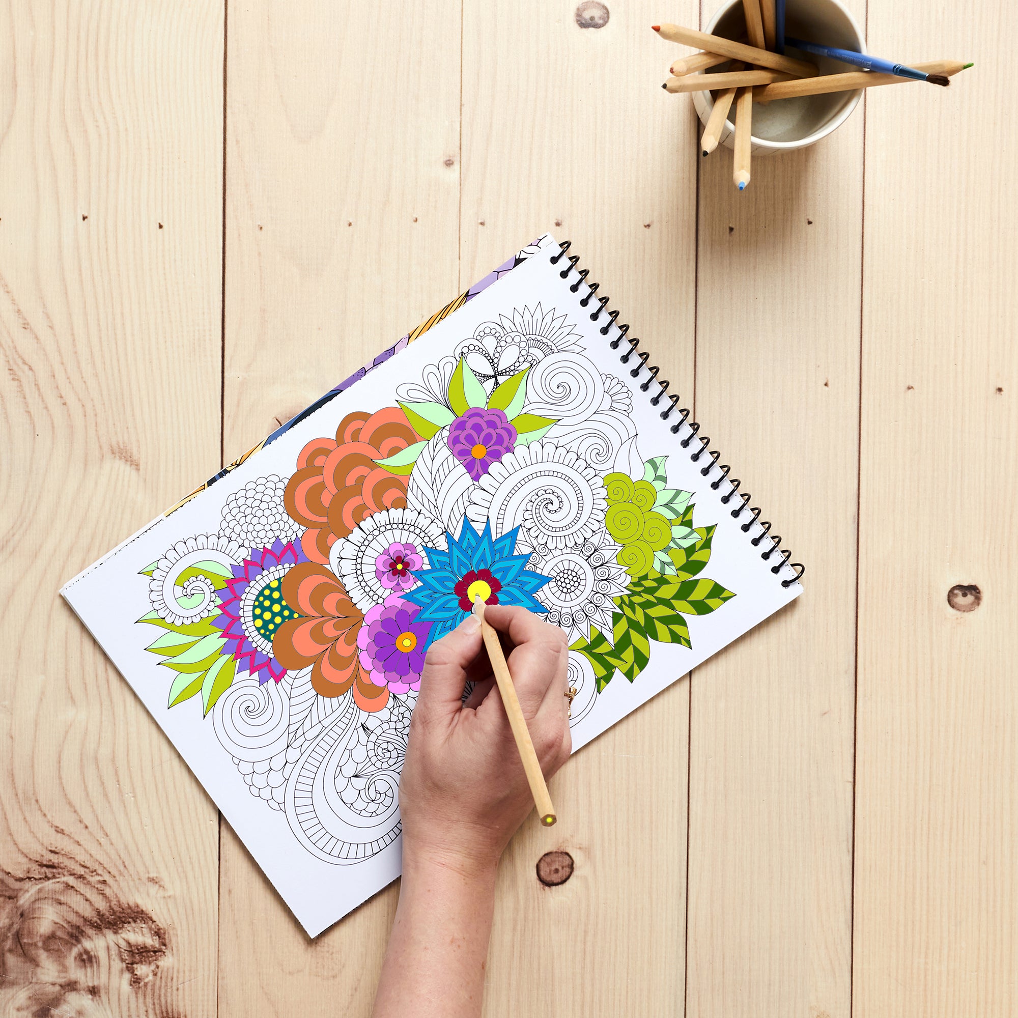 LIVRE DE COLORIAGE ADULTE 30 PAGES