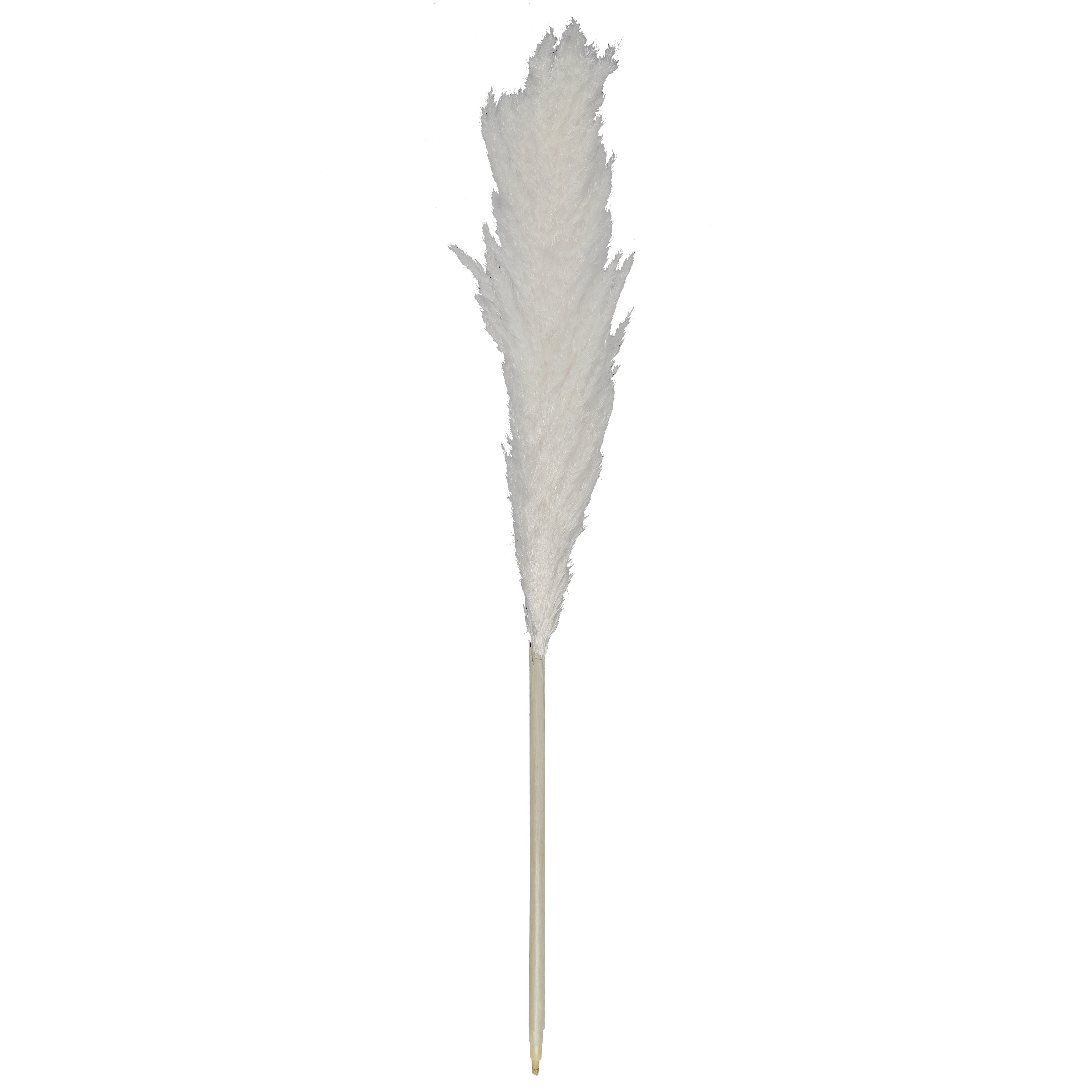 PAMPA NATURELLE H120CM