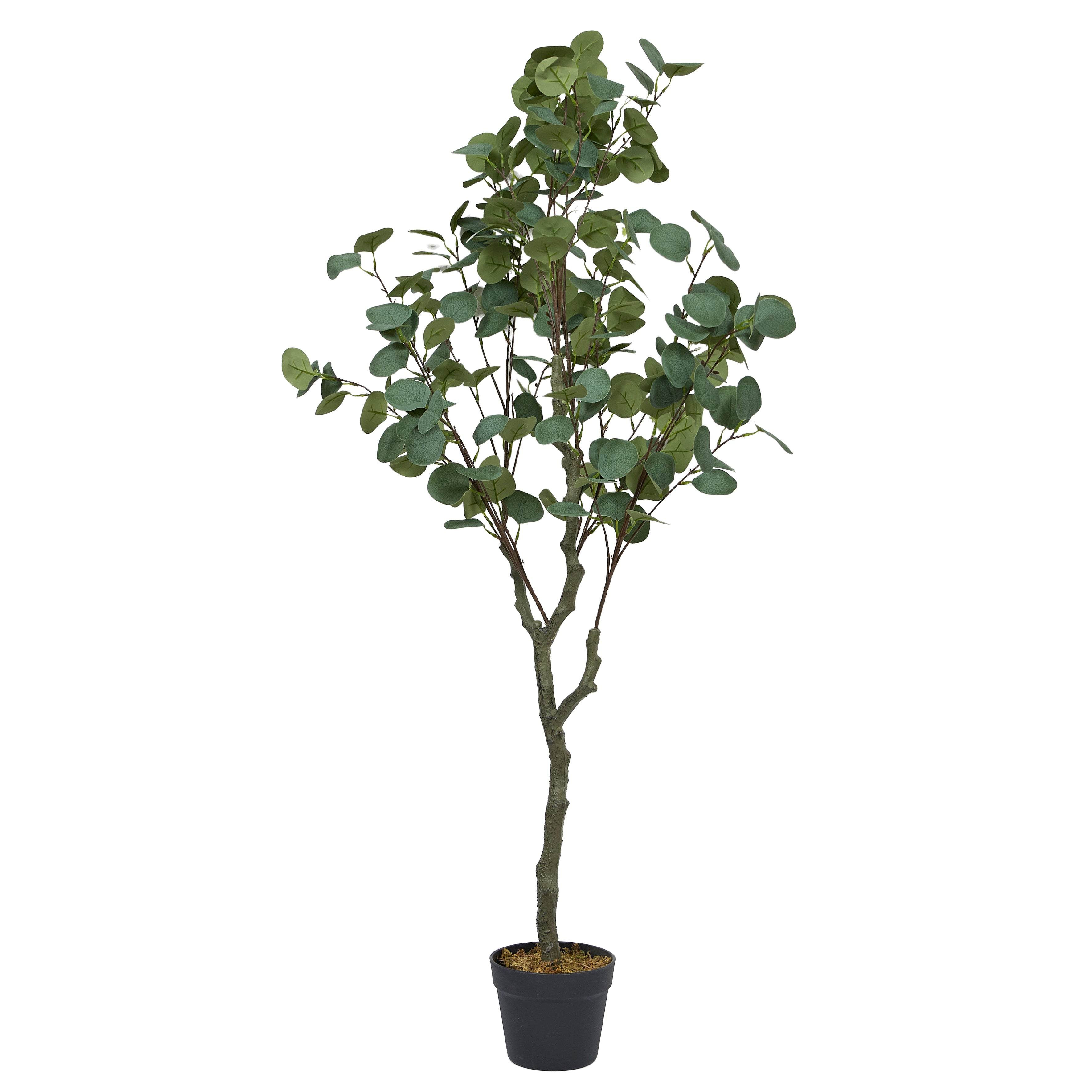 PLANTE ARTIFICIELLE EUCALYPTUS 130CM