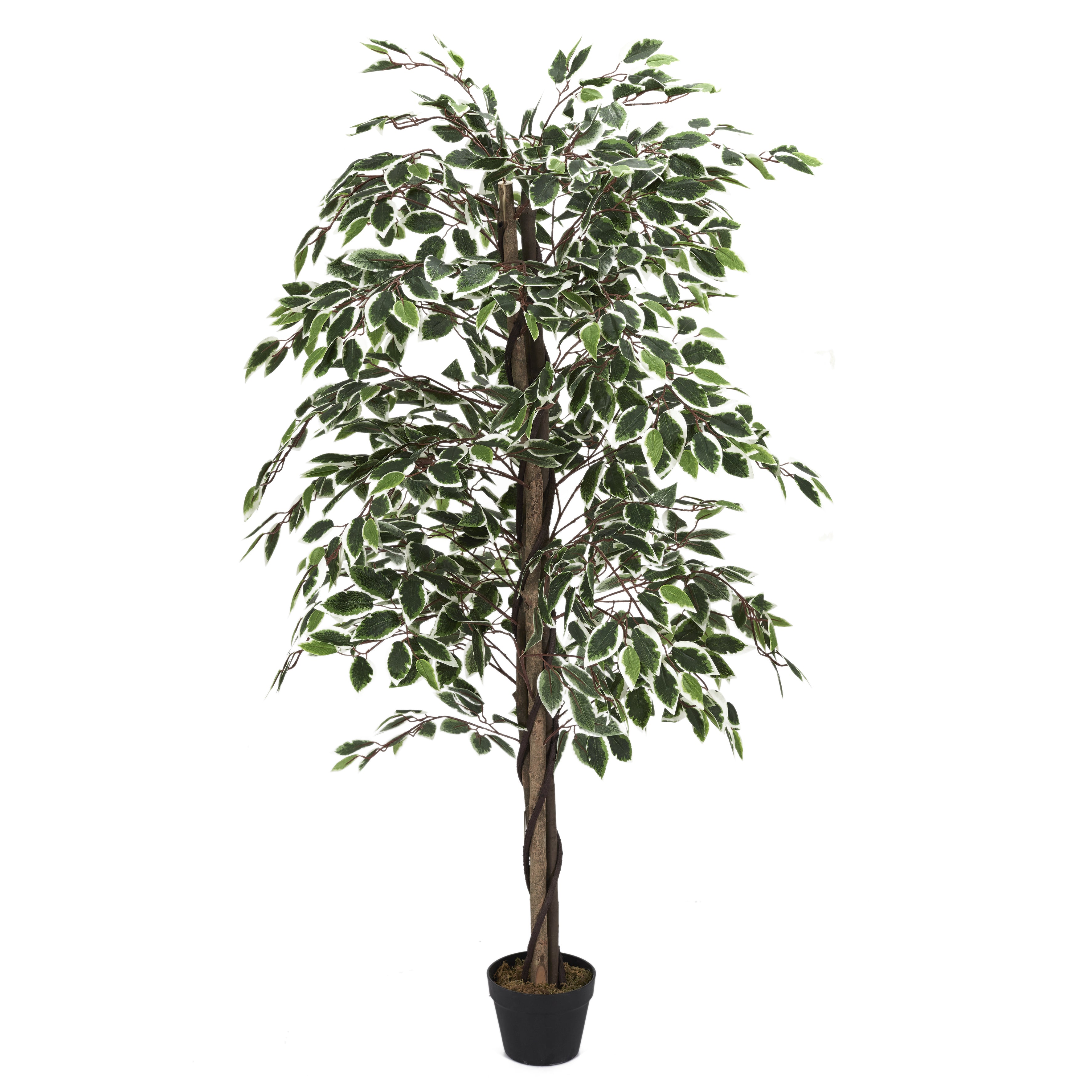 PLANTE ARTIFICIELLE FEUILLAGE PANACHE 160CM