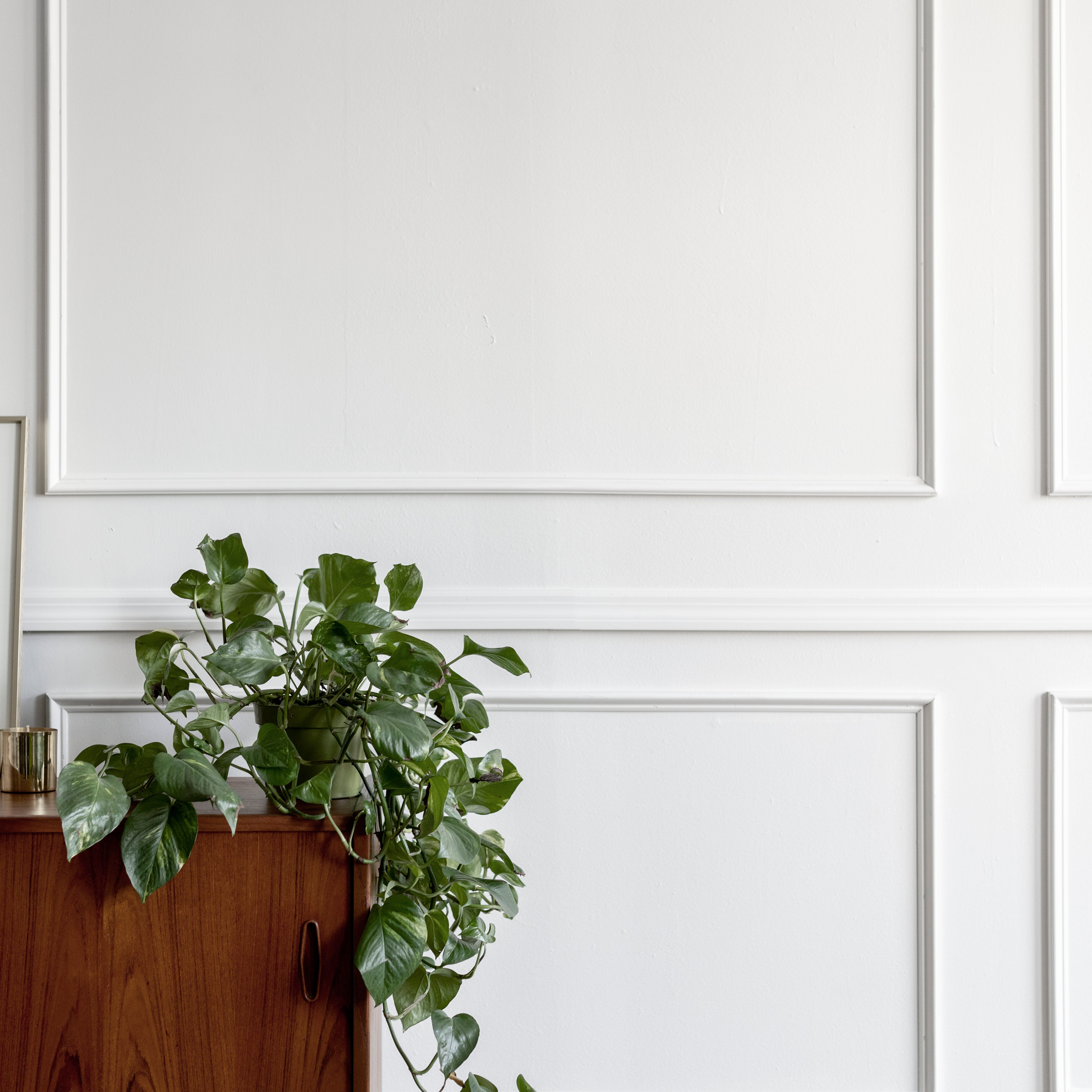 MOULURE ADHESIVE DECO 300X3.2CM