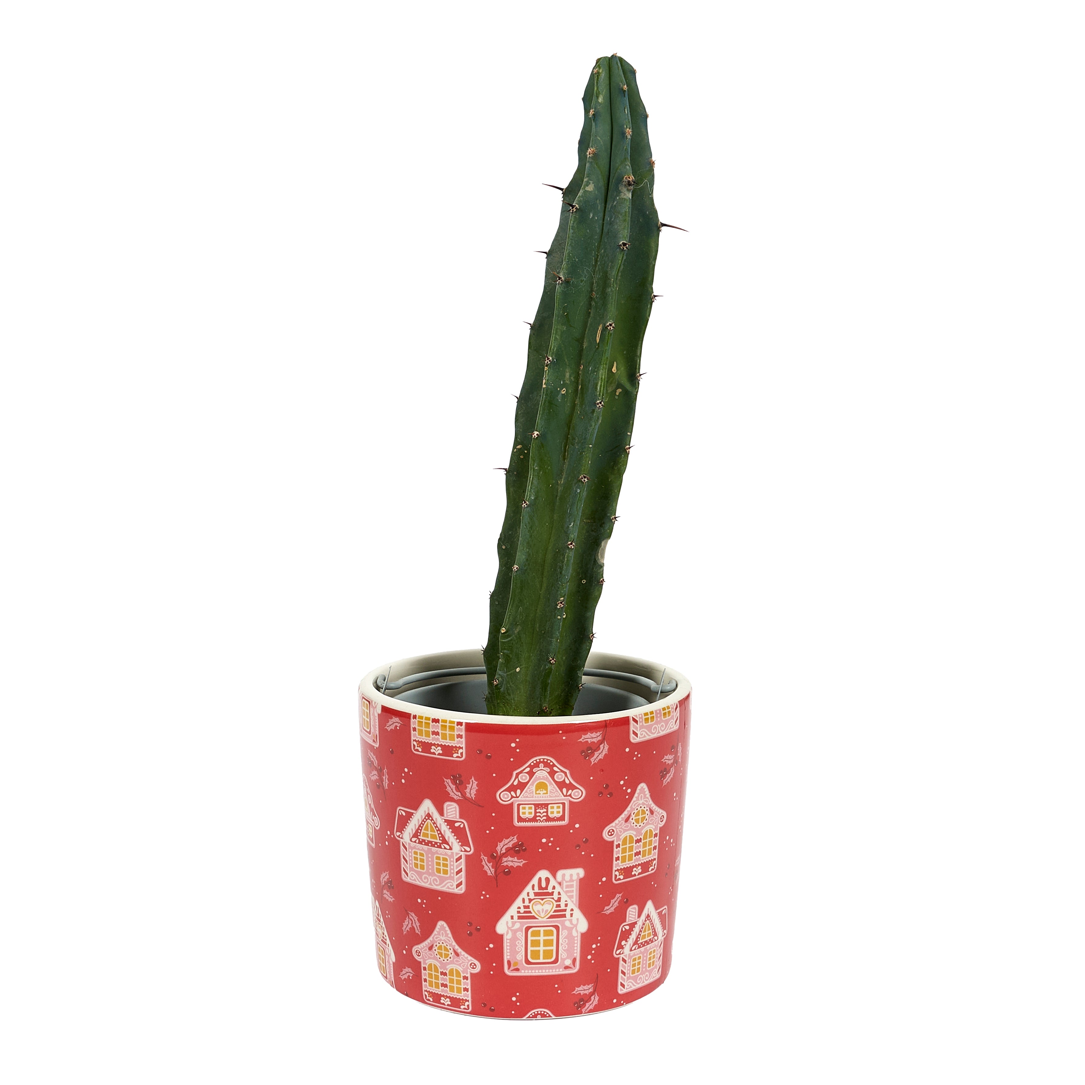 CACHE POT DIA 9CM NOEL