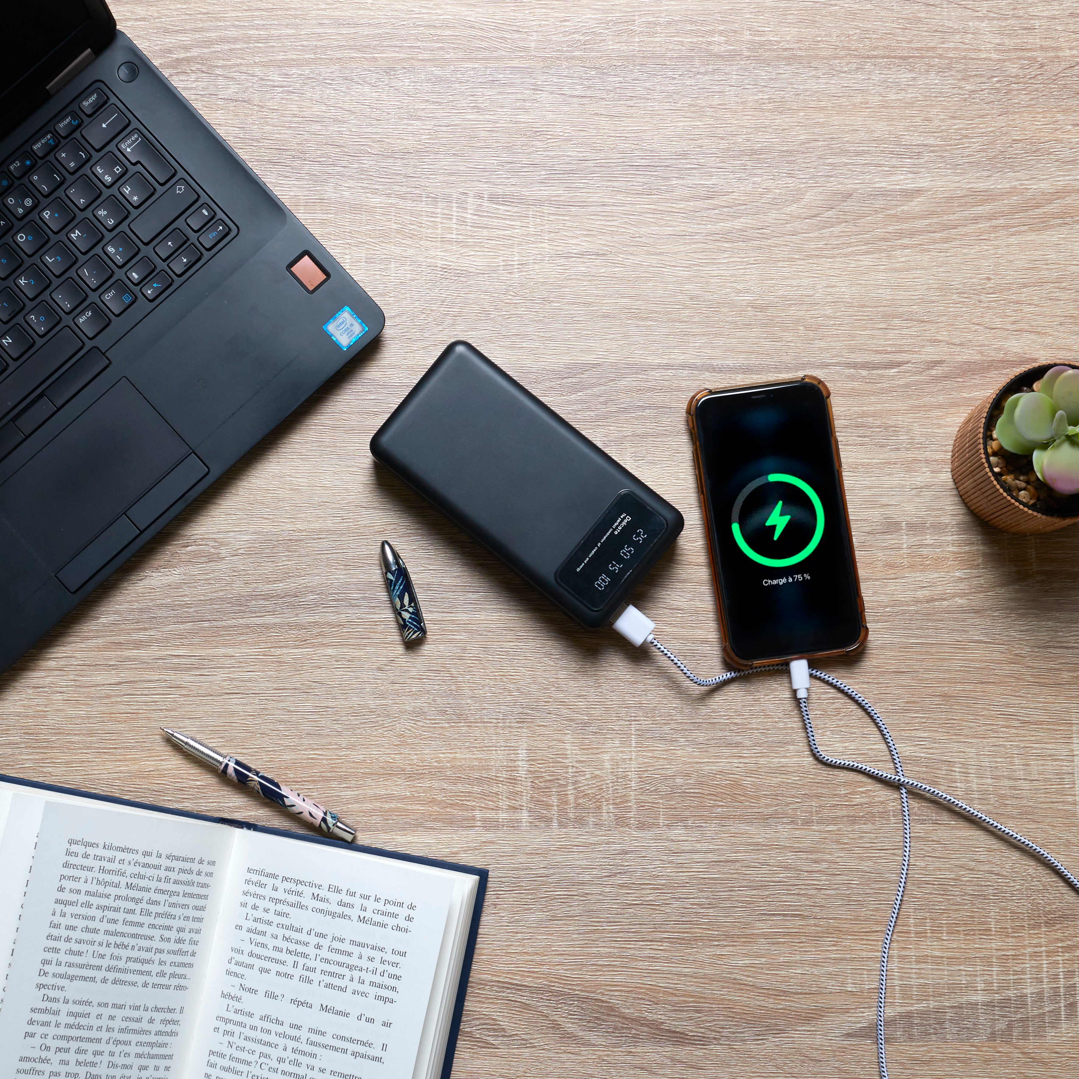 BATTERIE DE SECOURS 30000MAH