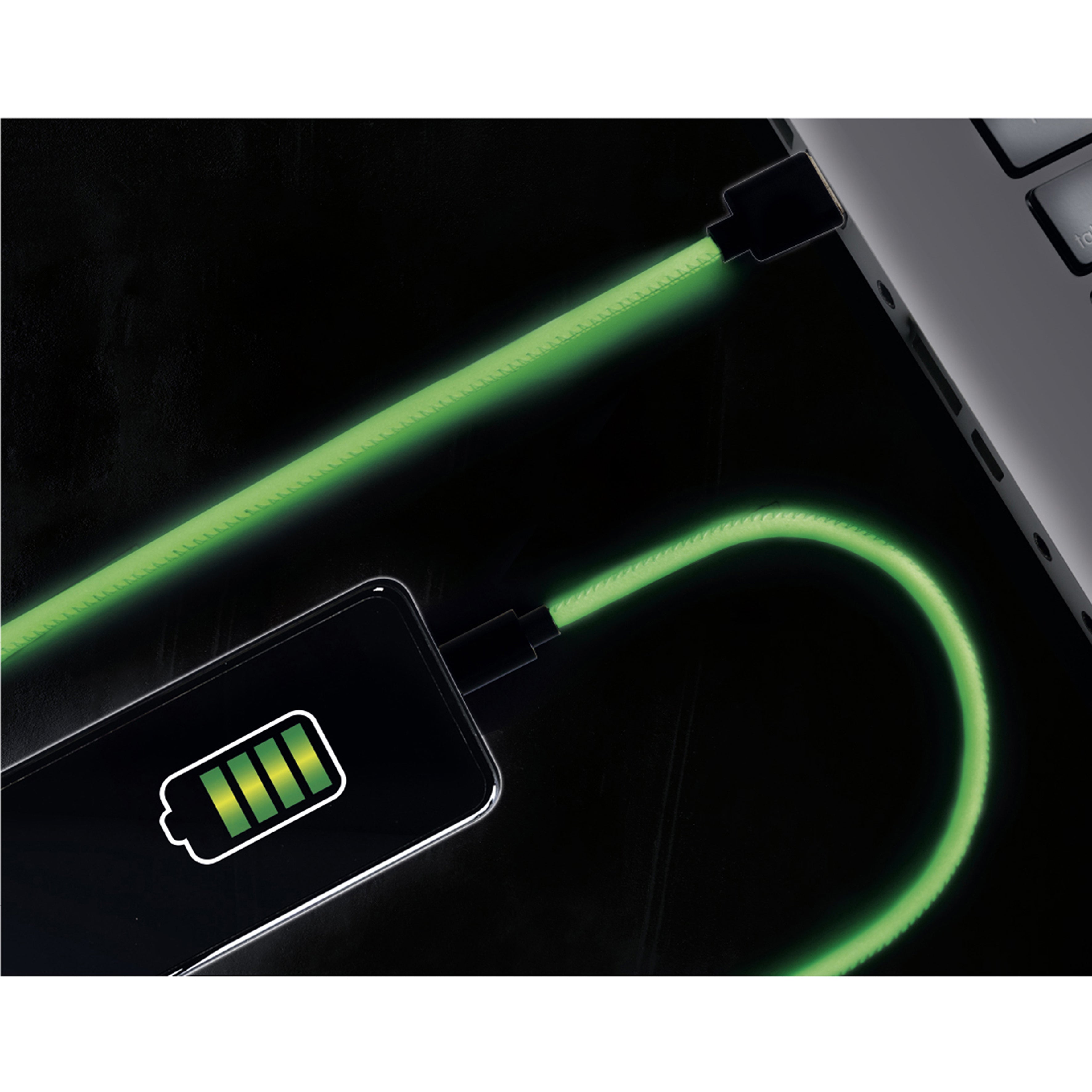 CABLE CHG RAPIDE 2A TYPE C PHOSPHORESCENT 2M
