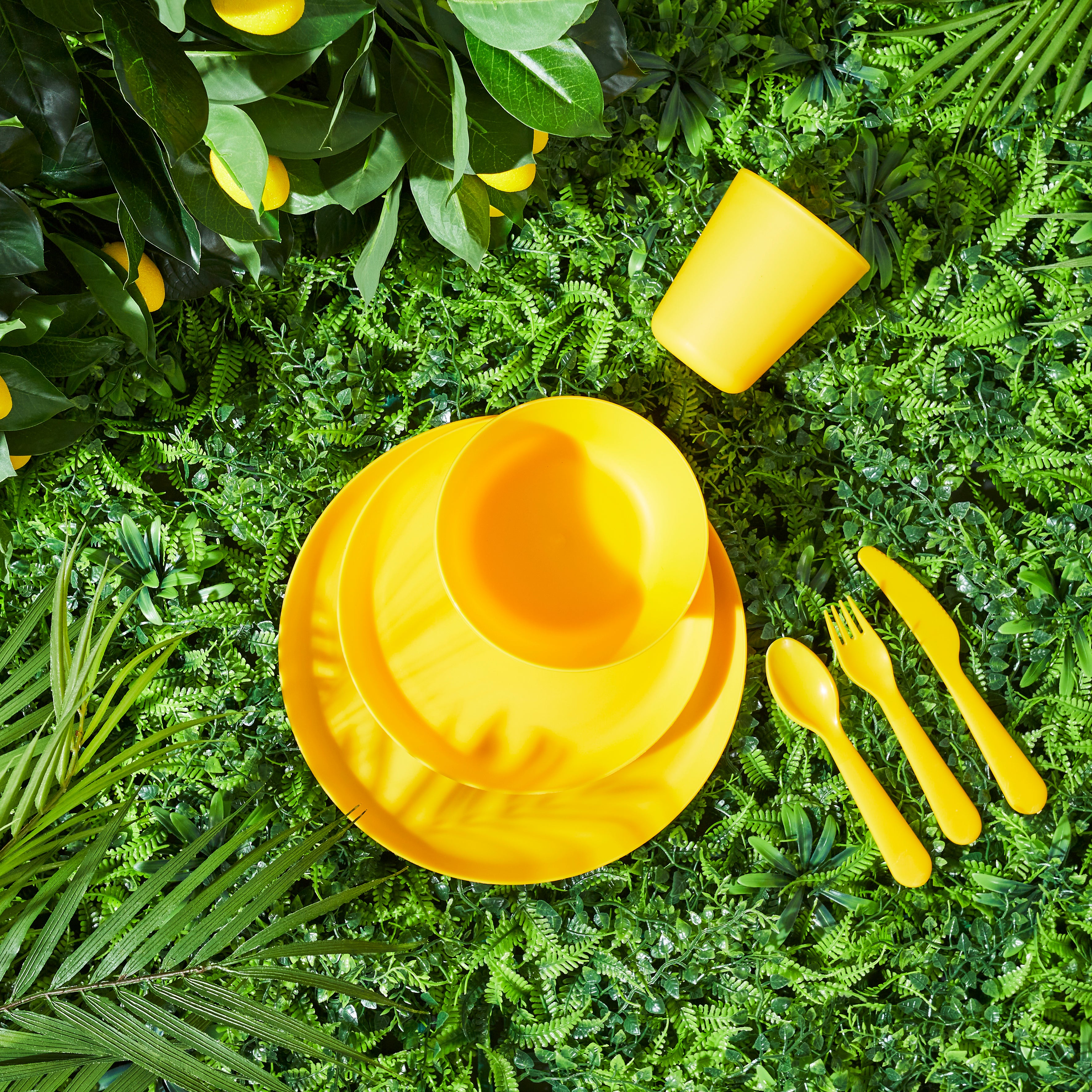 SET DE COUVERTS EN PLASTIQUE X12 AVEC BOITE