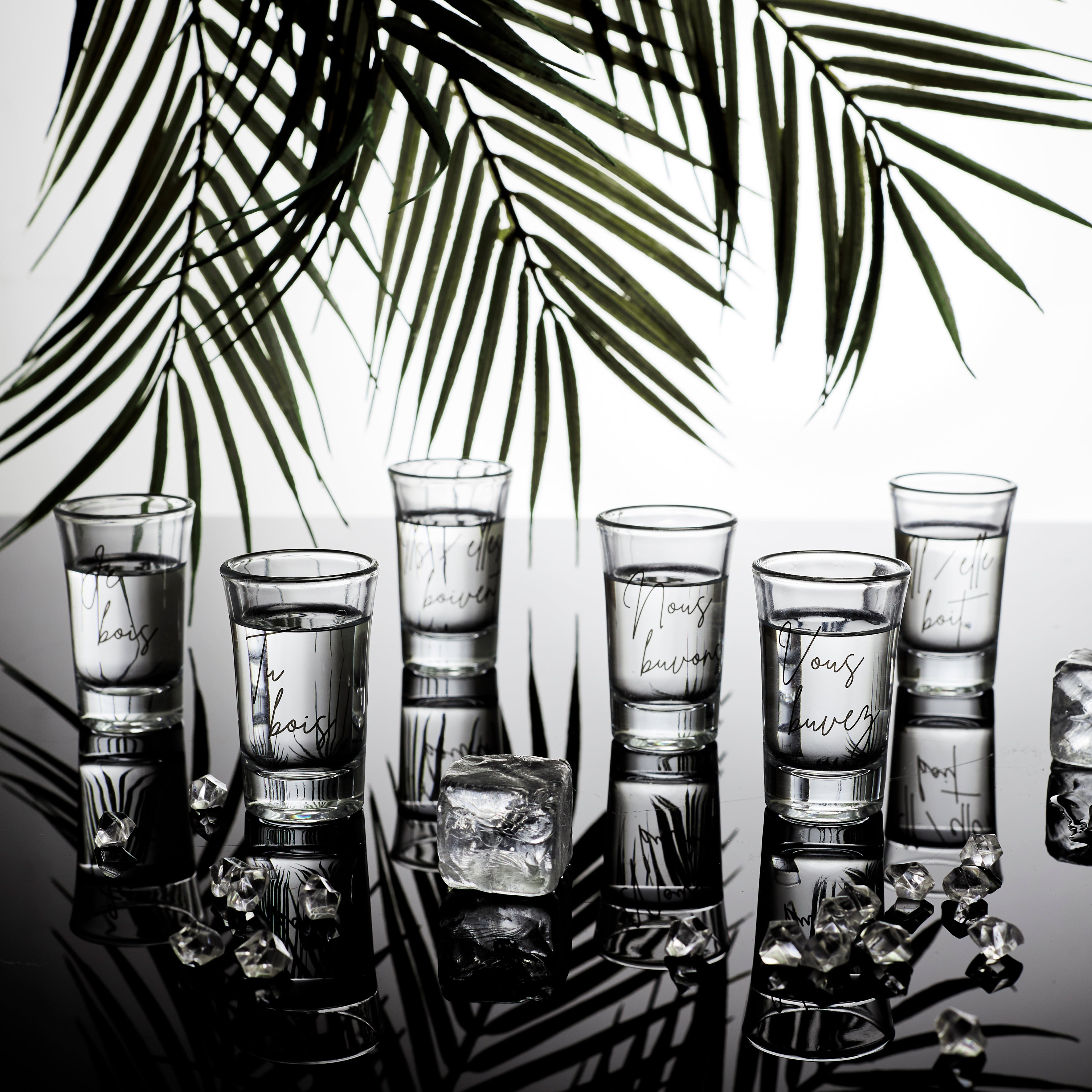 VERRE A SHOT X6