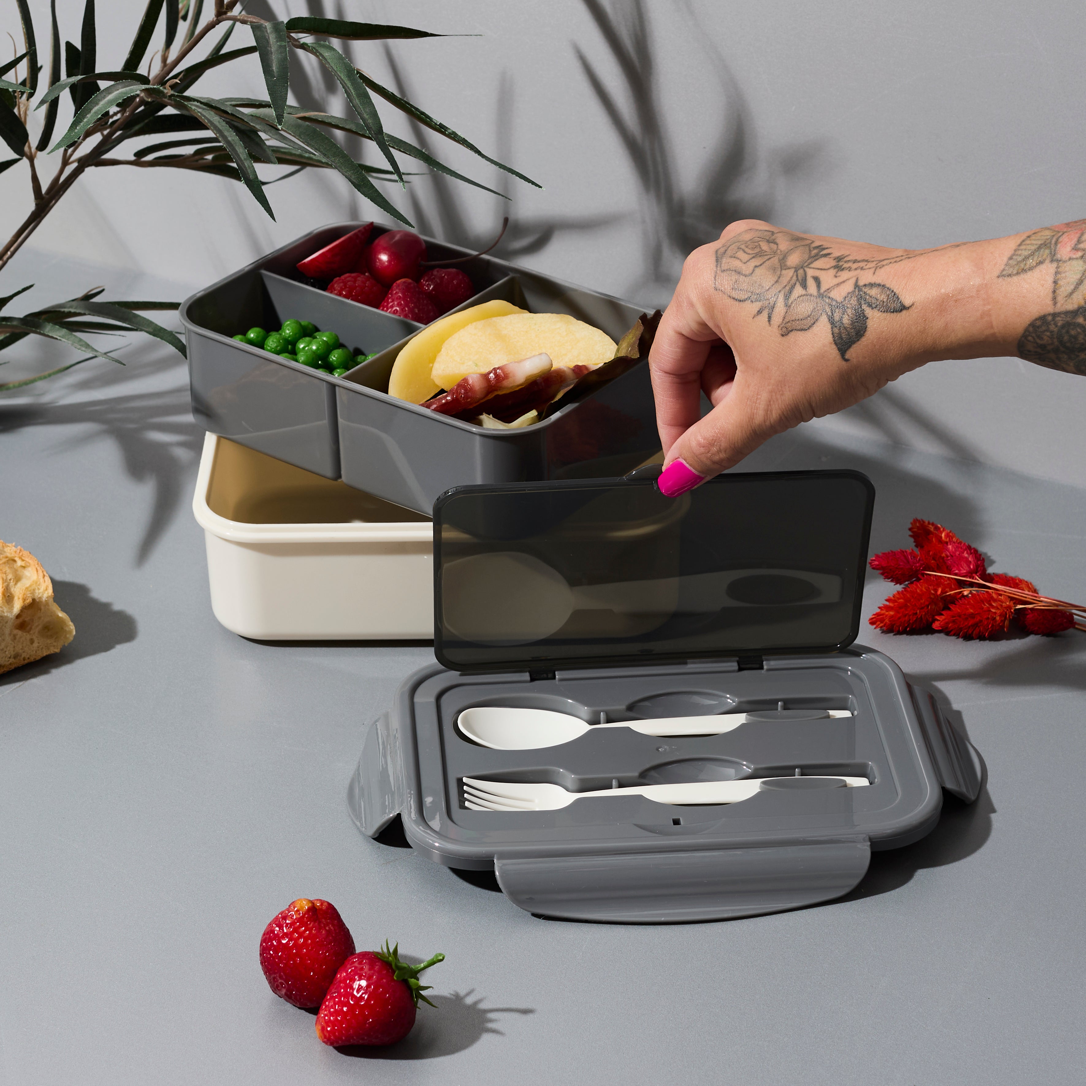 LUNCH BOX COMPARTIMENTEE