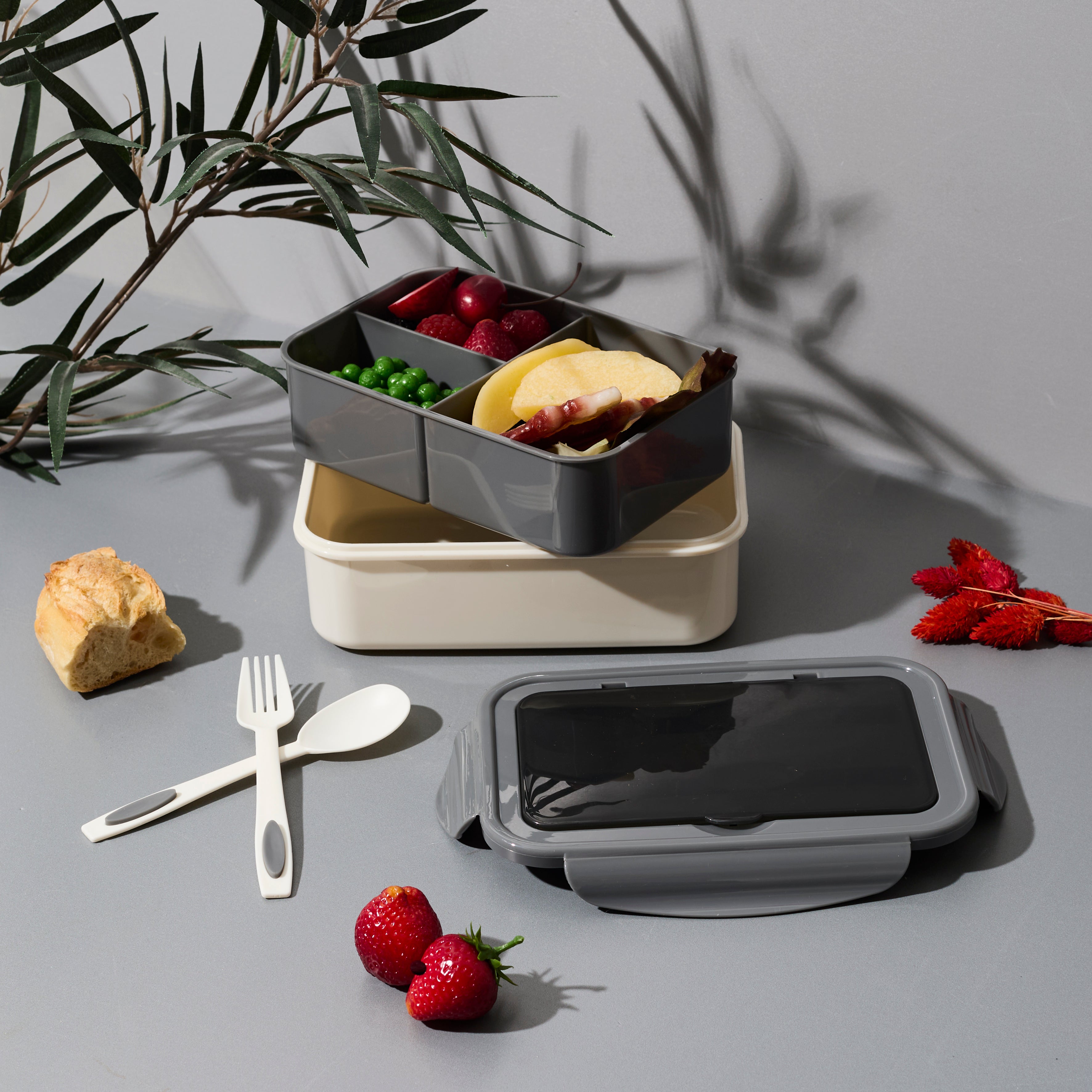 LUNCH BOX COMPARTIMENTEE