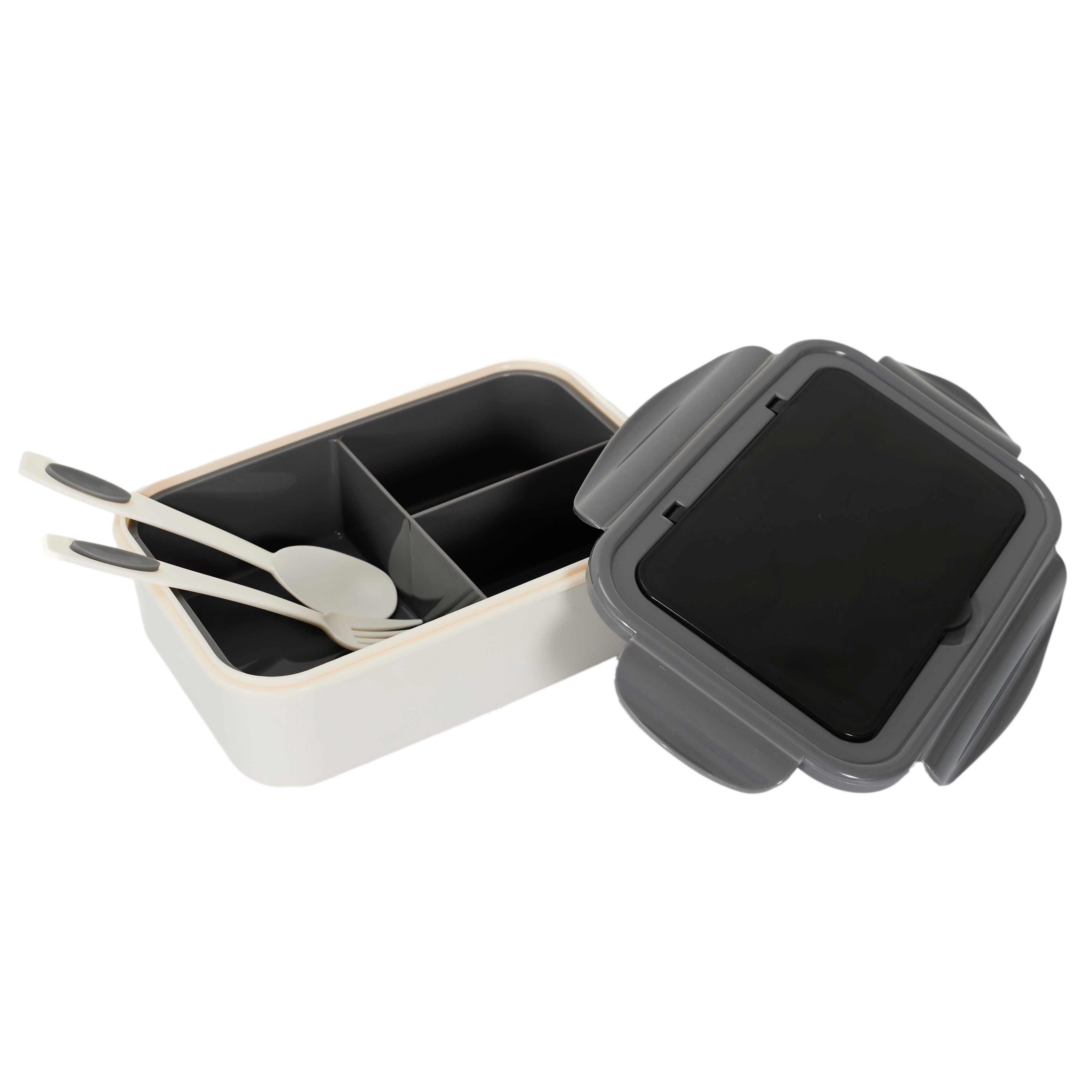 LUNCH BOX COMPARTIMENTEE