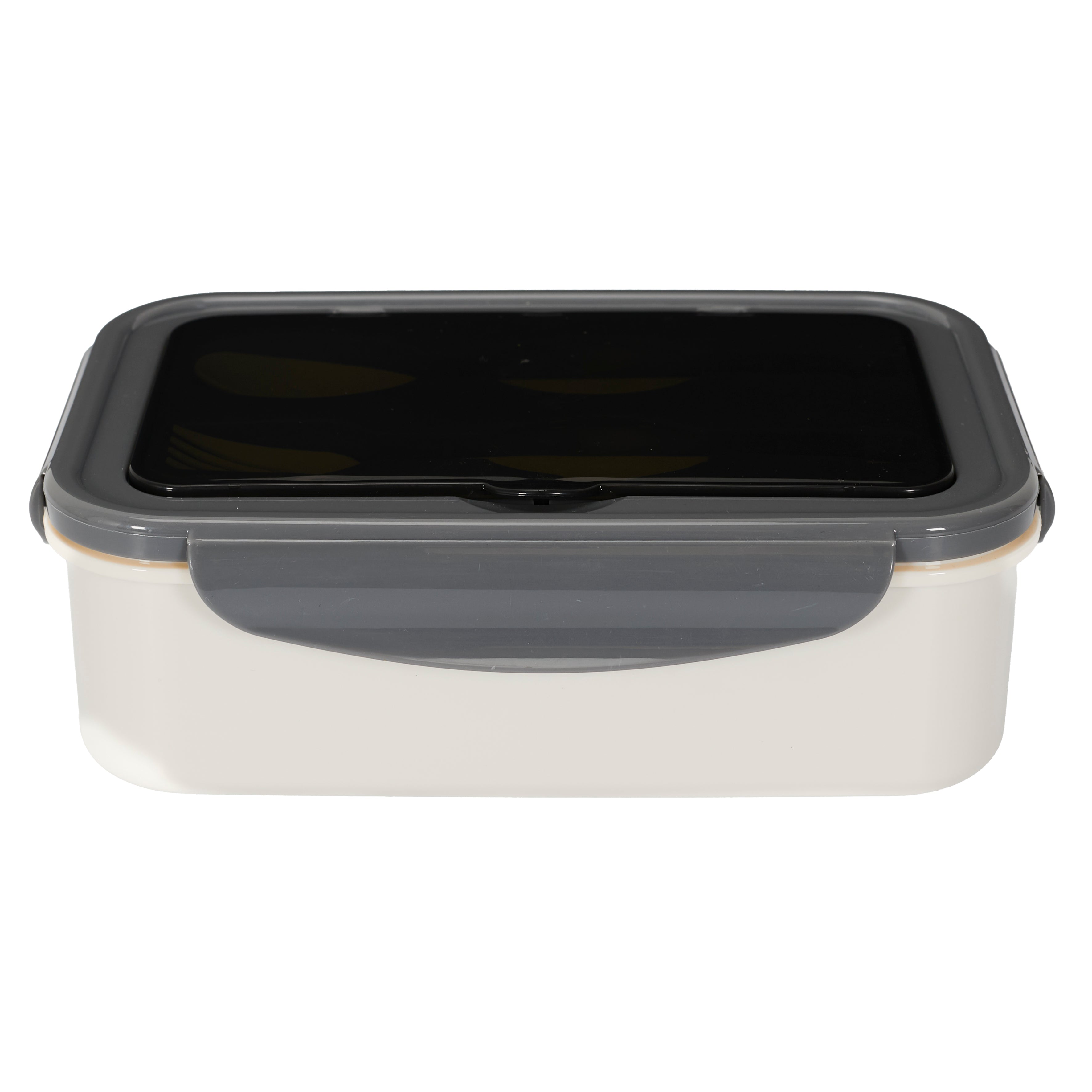 LUNCH BOX COMPARTIMENTEE