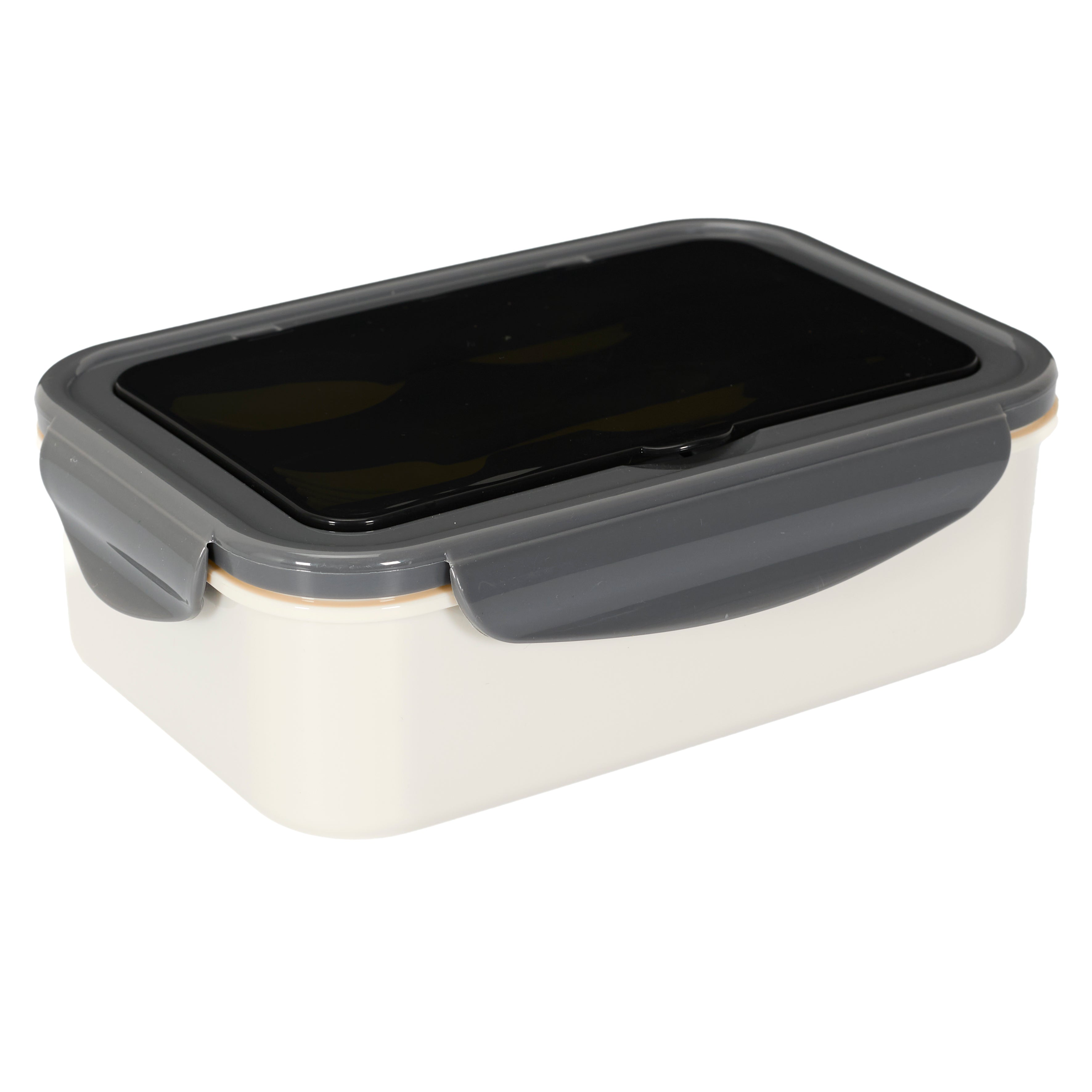 LUNCH BOX COMPARTIMENTEE