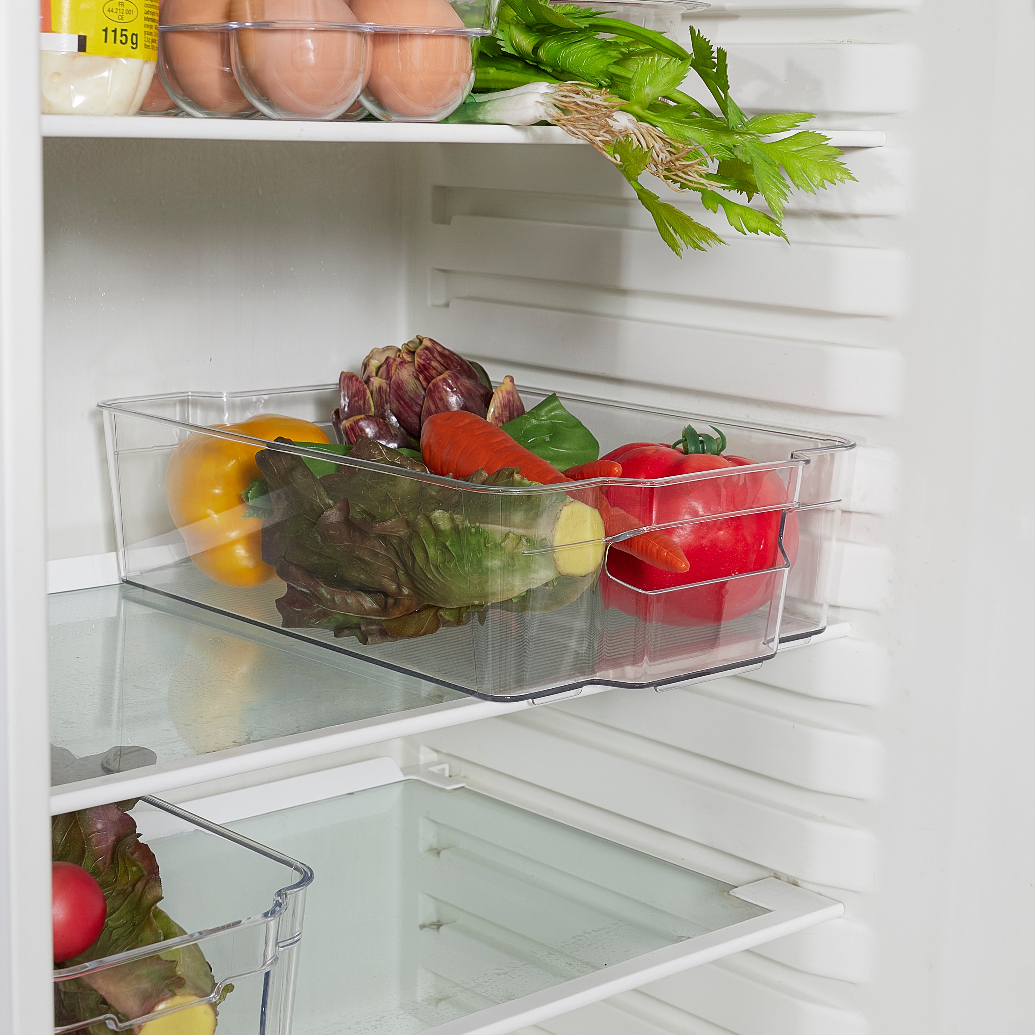 BAC RANGEMENT FRIGO 32X21X9 6L