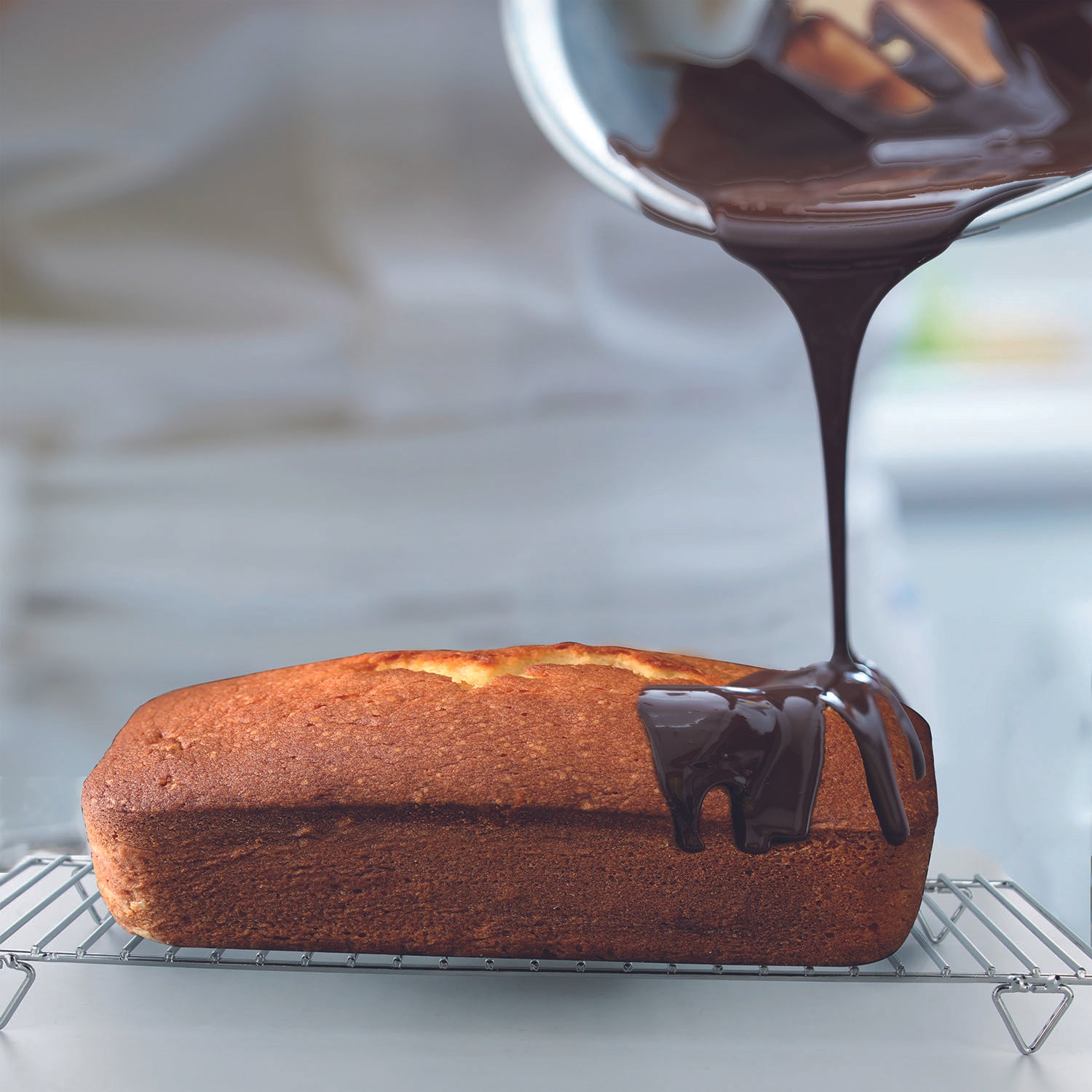 VOLETTE A BUCHE