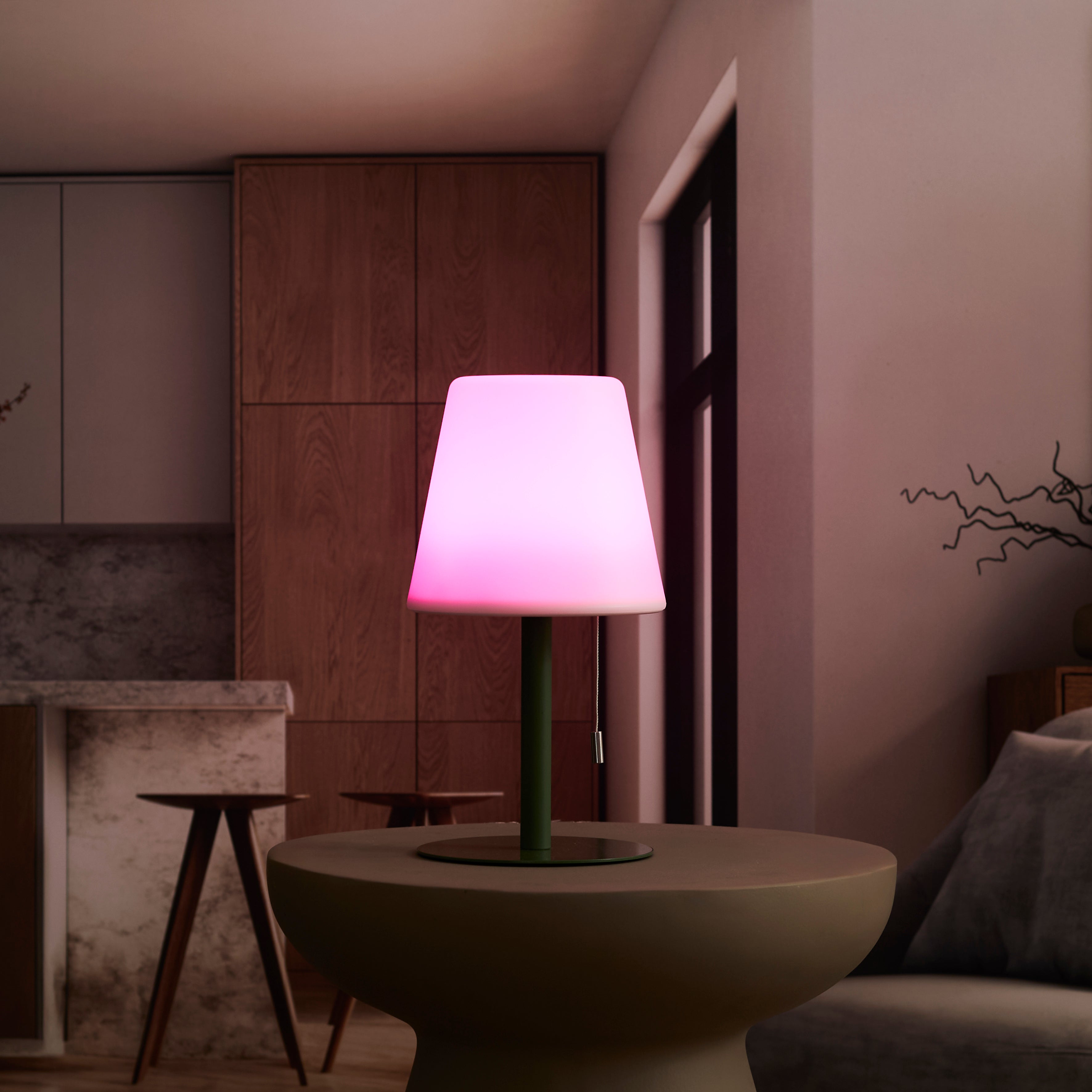 LAMPE DE TABLE RECHARGEABLE USB IP44 VERT H30CM