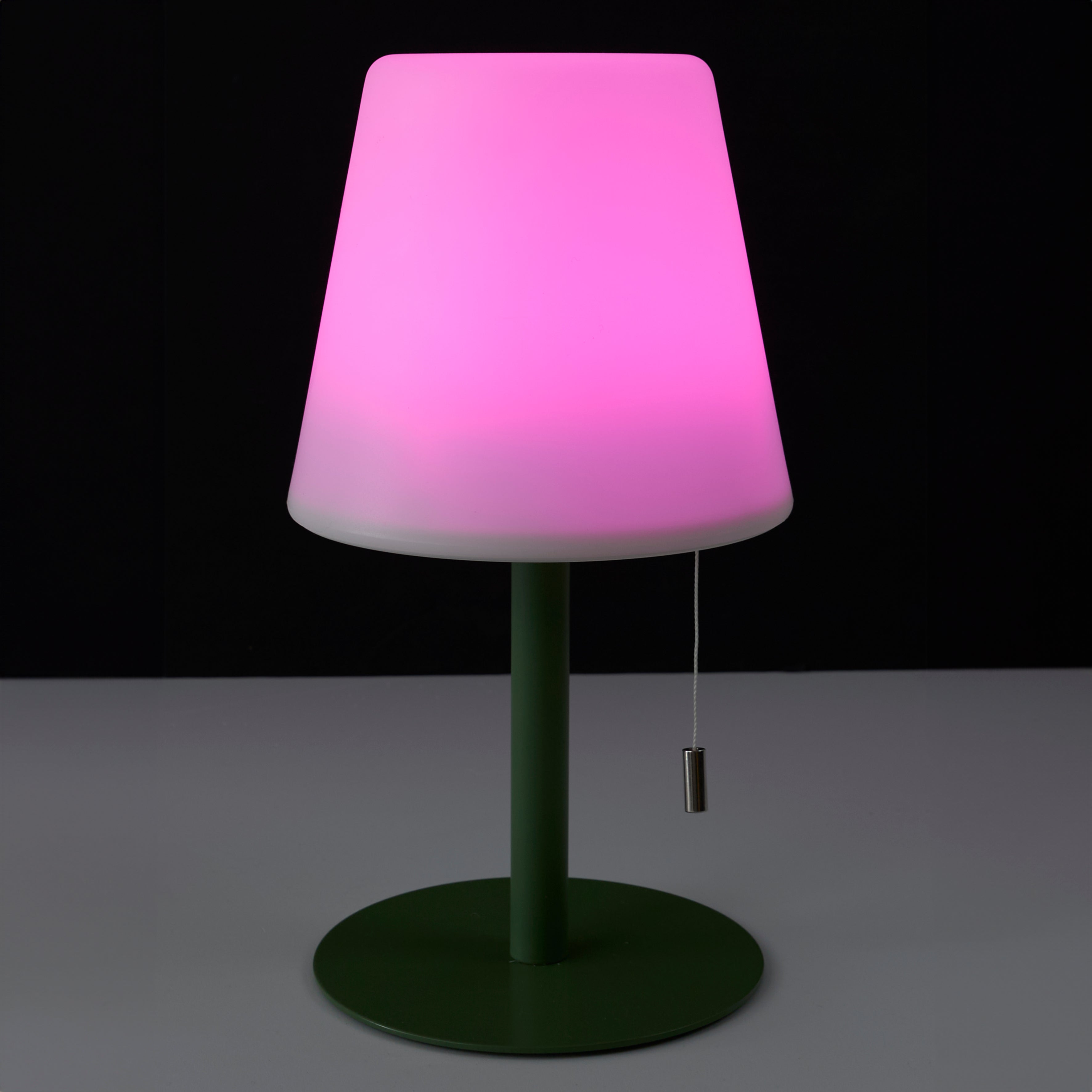LAMPE DE TABLE RECHARGEABLE USB IP44 VERT H30CM