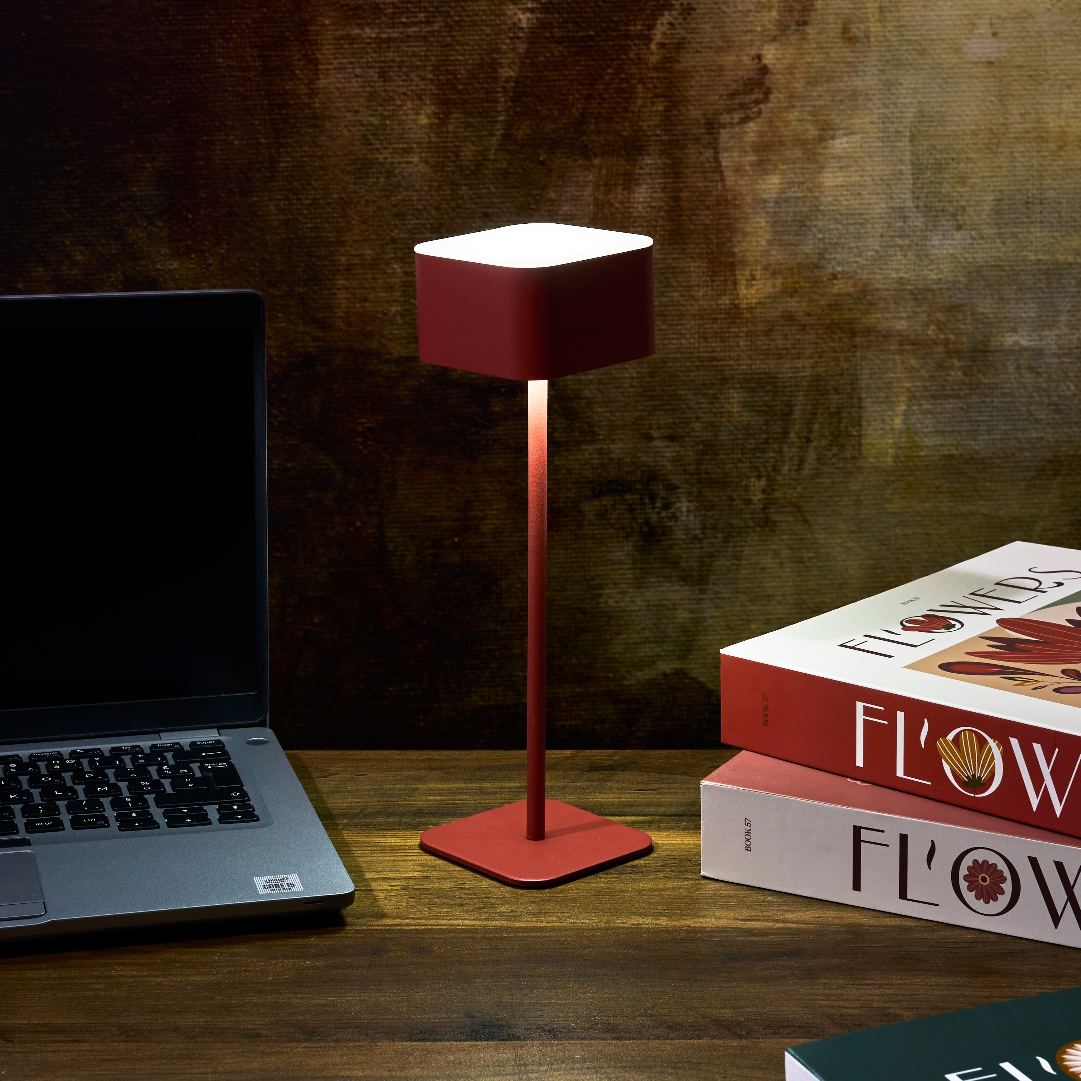 LAMPE DE TABLE TACTILE RECHARGEABLE TERRA